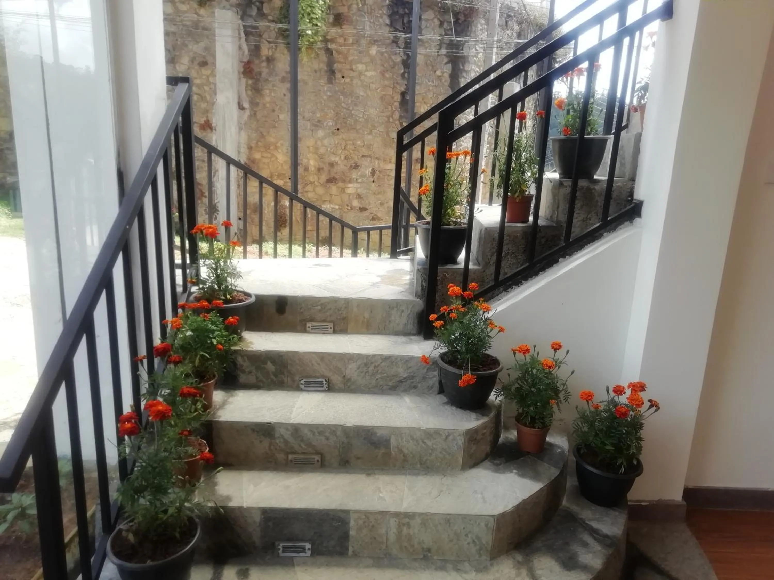 Property building in Tea Mount Forest