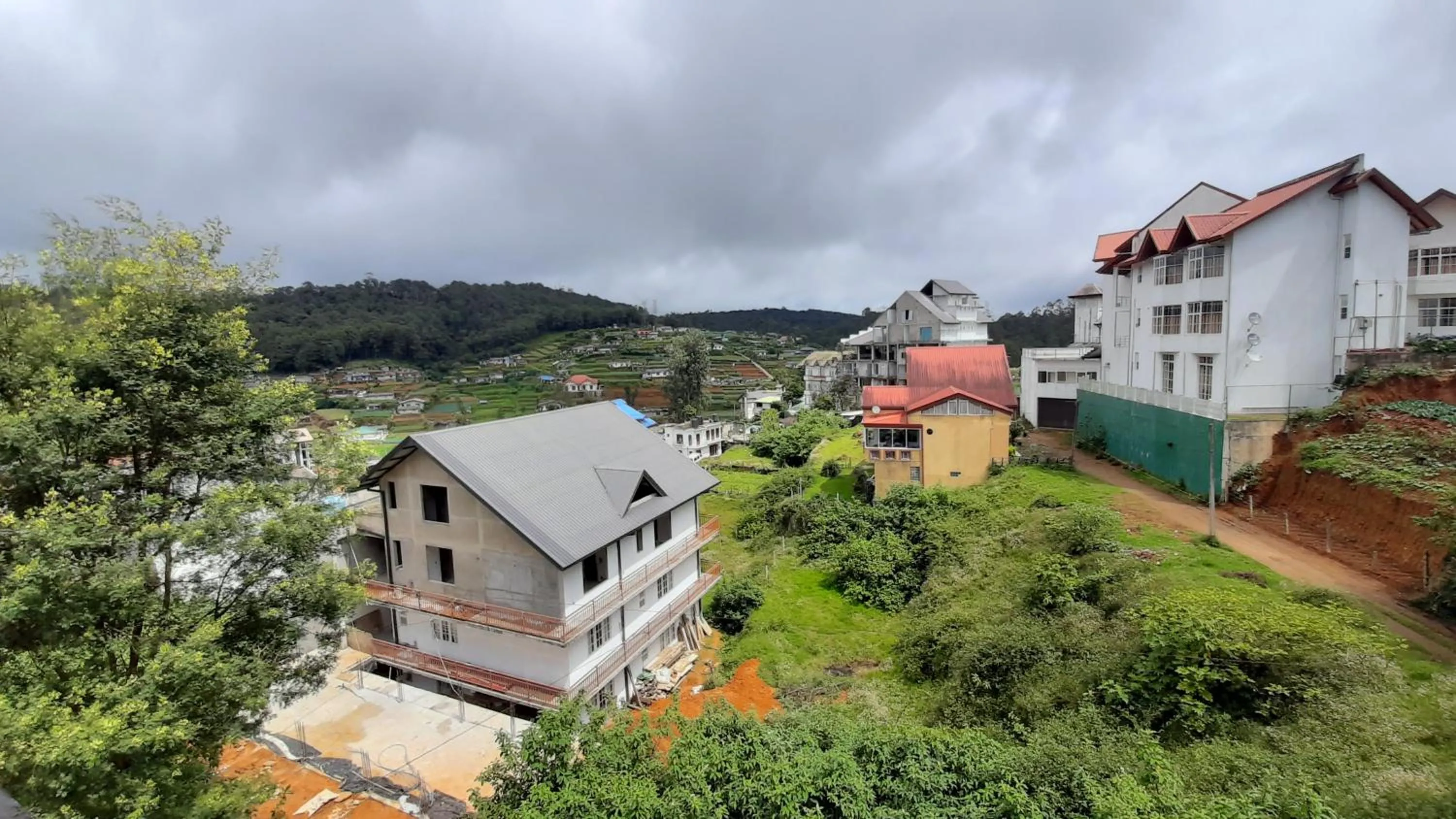 Mountain view in Tea Mount Forest