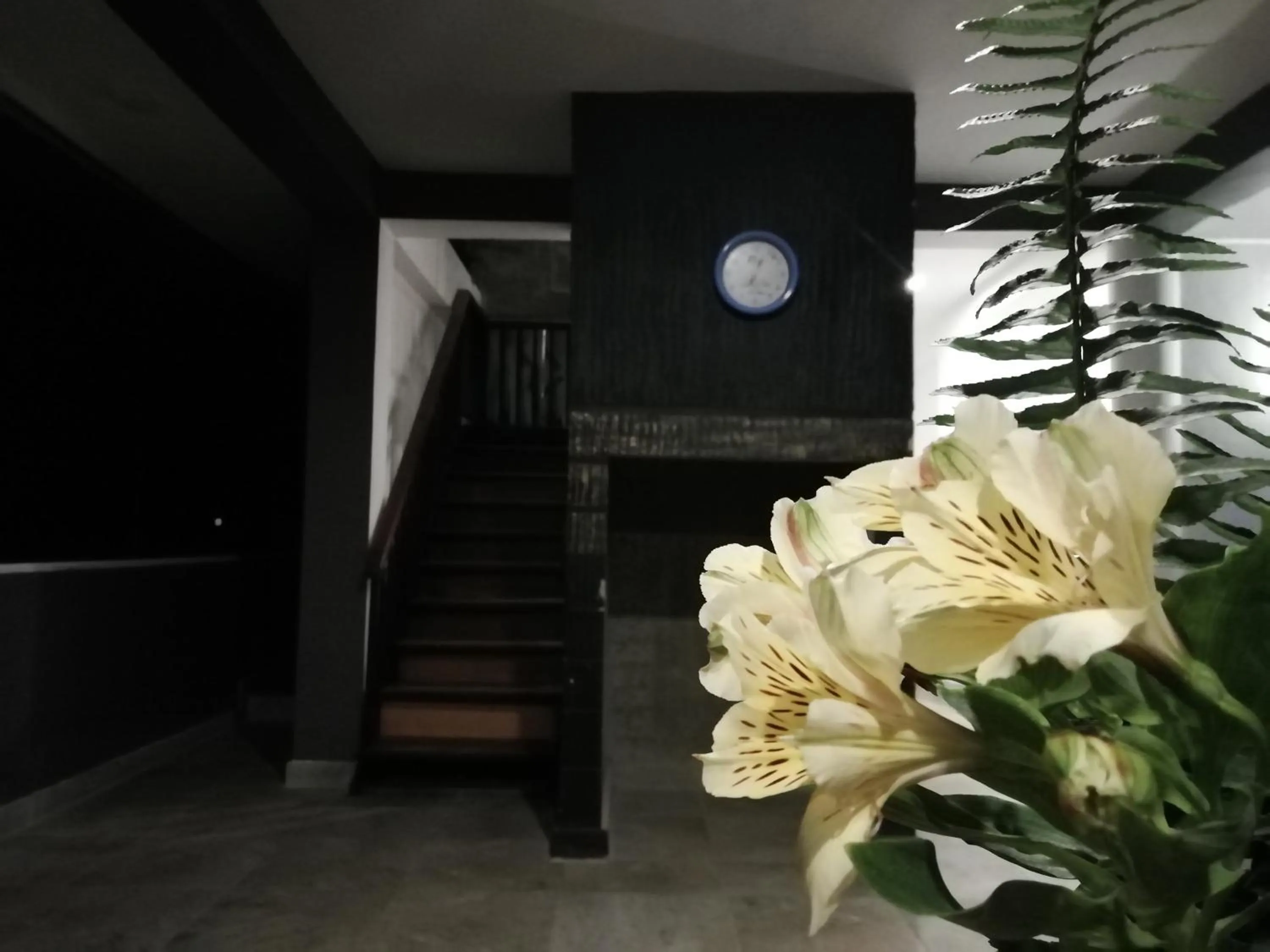 Property building in Tea Mount Forest