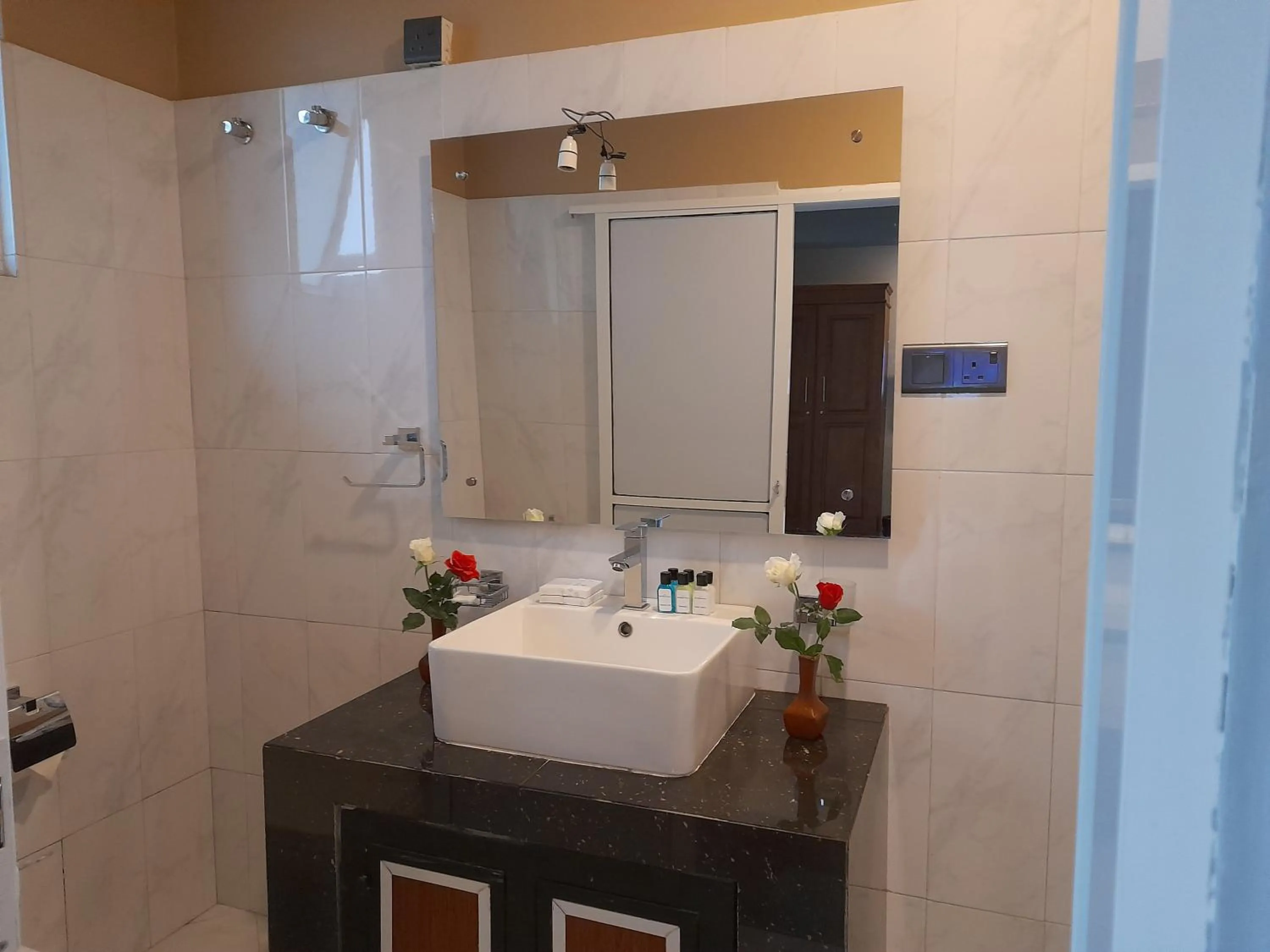 Bathroom in Tea Mount Forest