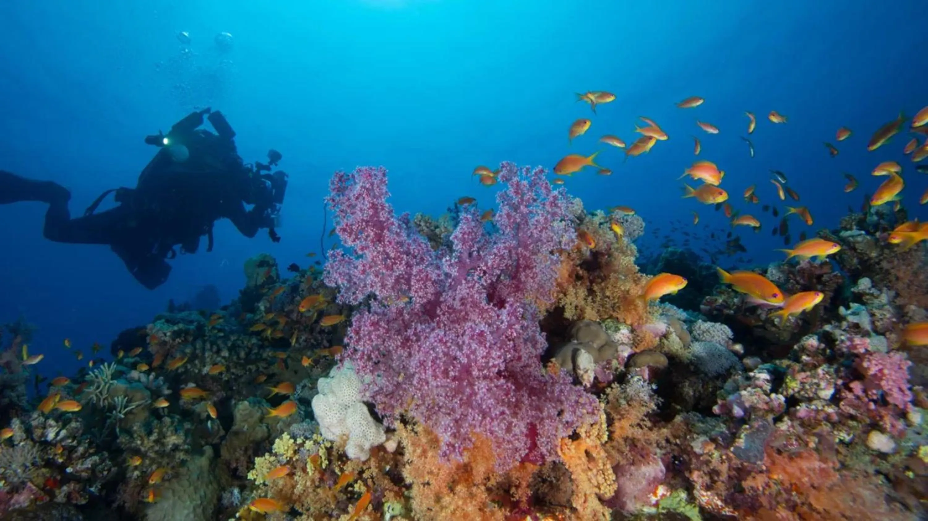 Nearby landmark in Holiday Inn Yanbu by IHG