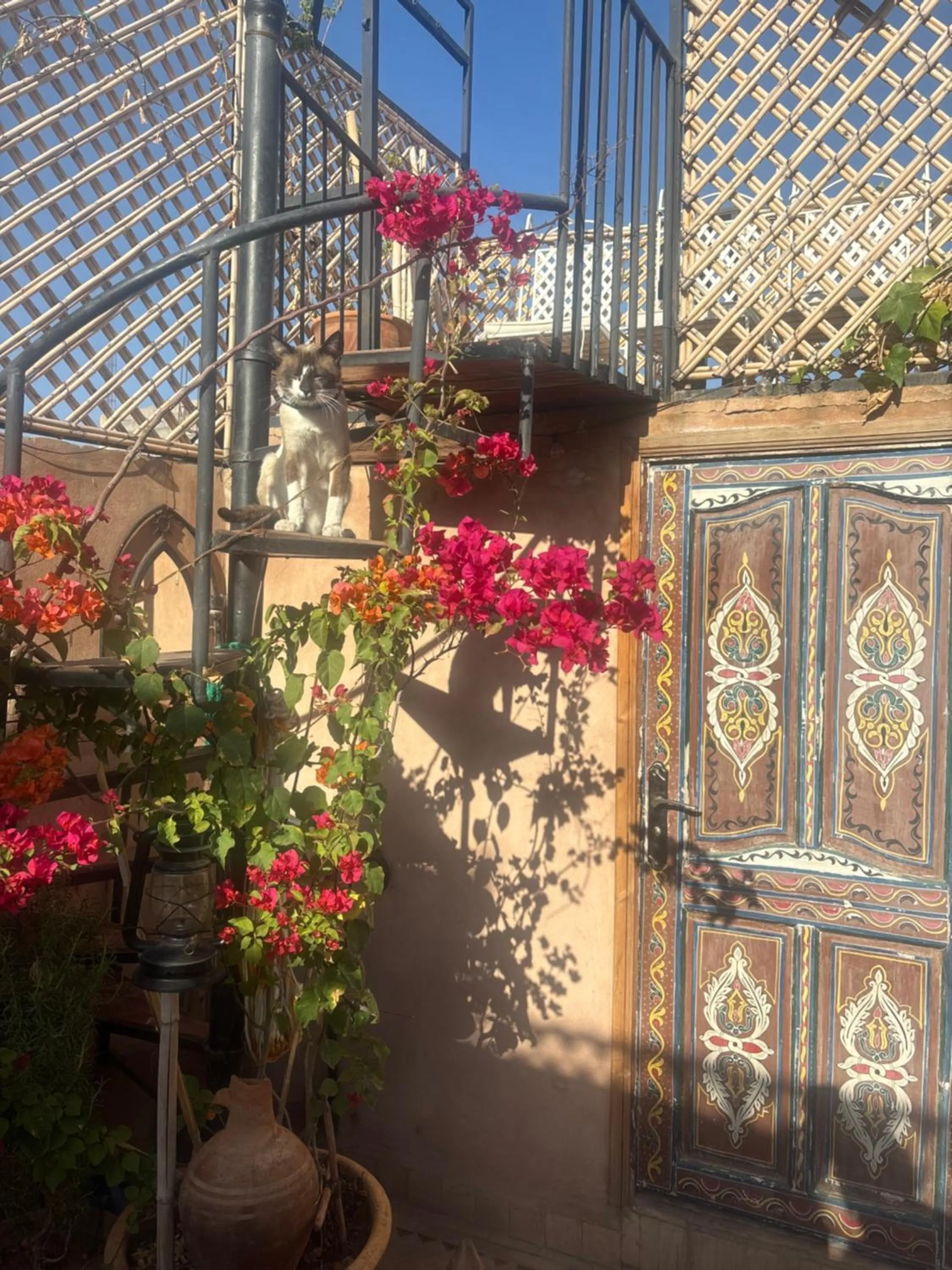 View (from property/room) in Riad Minami