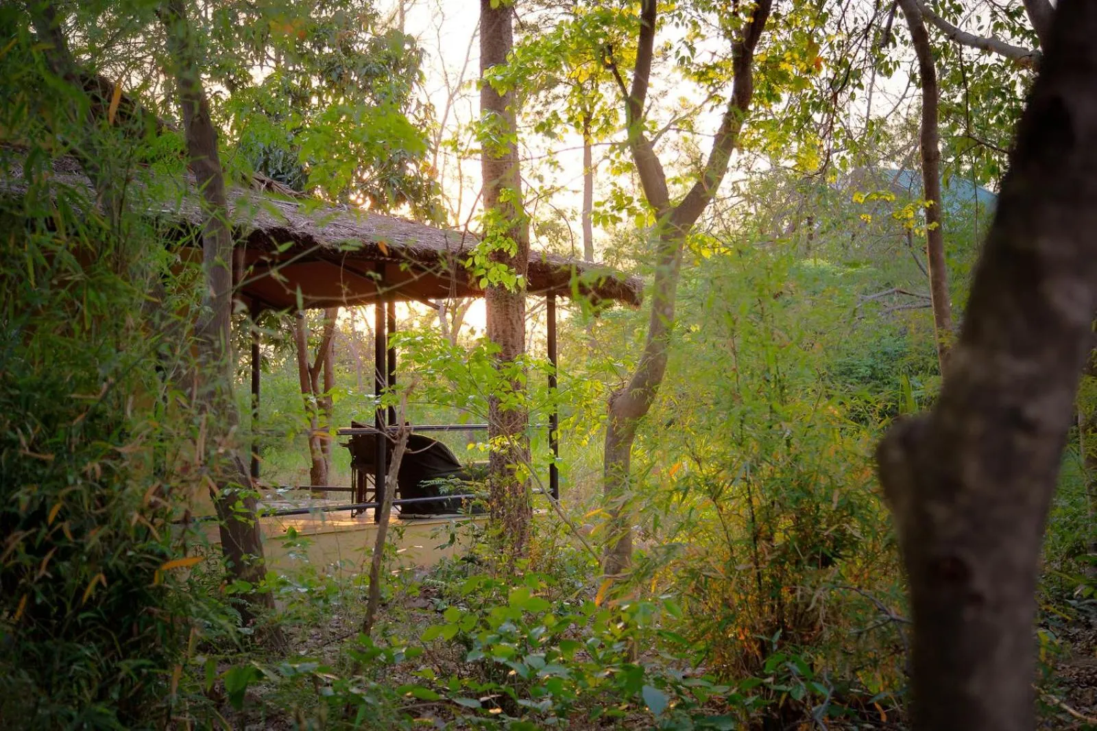 Jim's Jungle Retreat