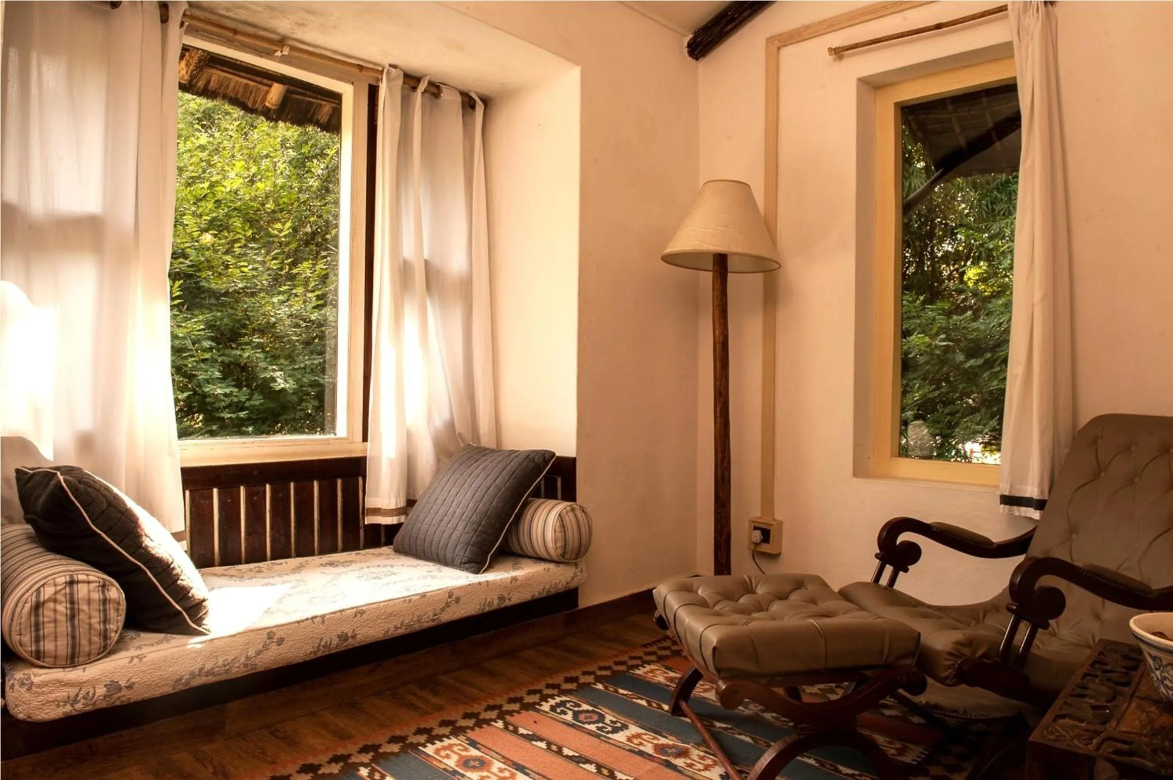 Day in Jim's Jungle Retreat