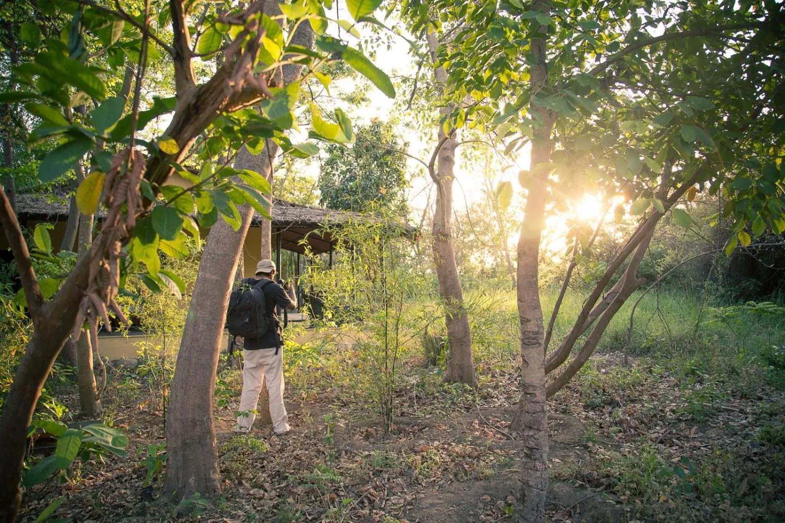 Jim's Jungle Retreat