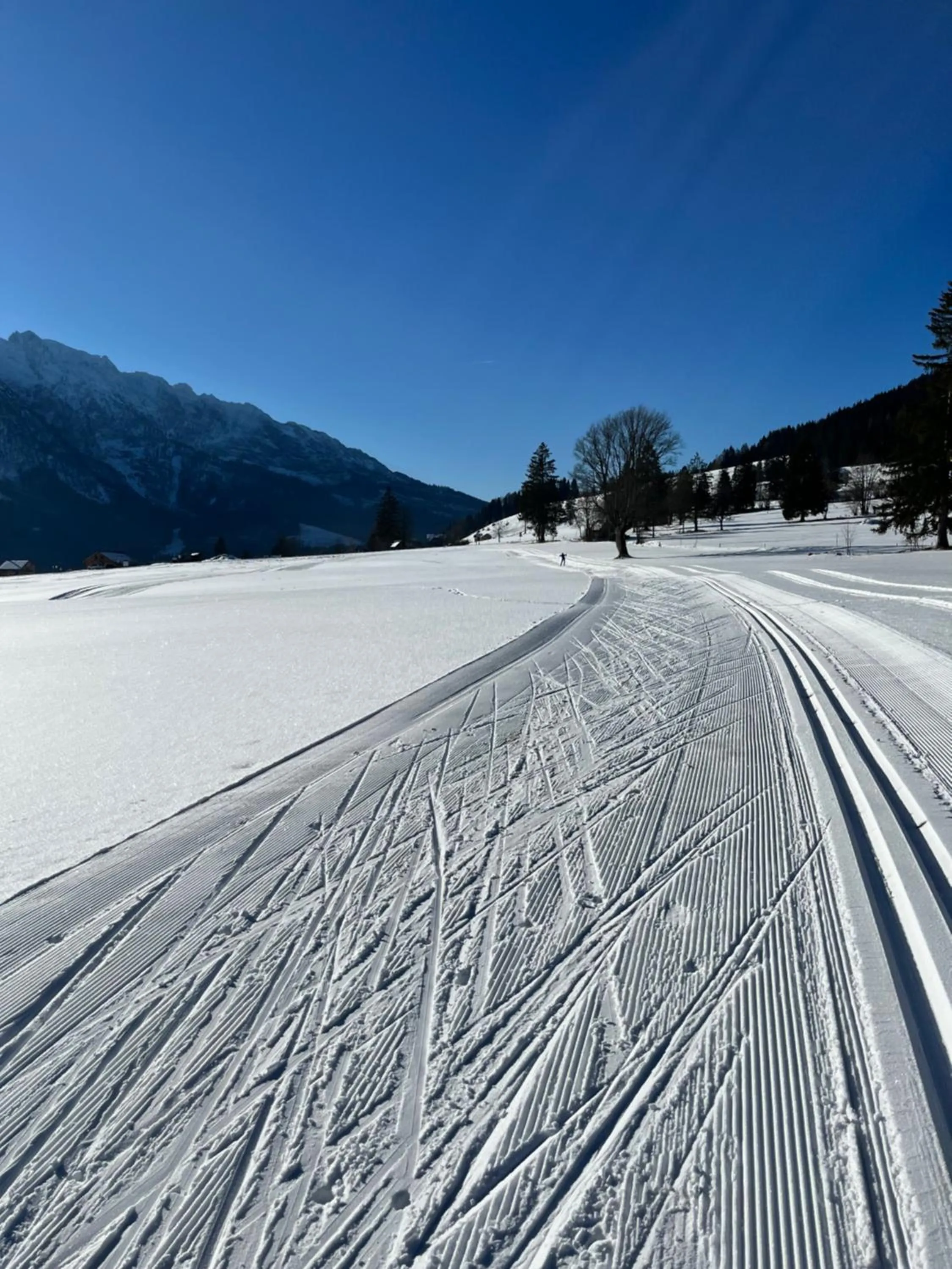 Natural landscape in Appartements-Restaurant Schwaiger