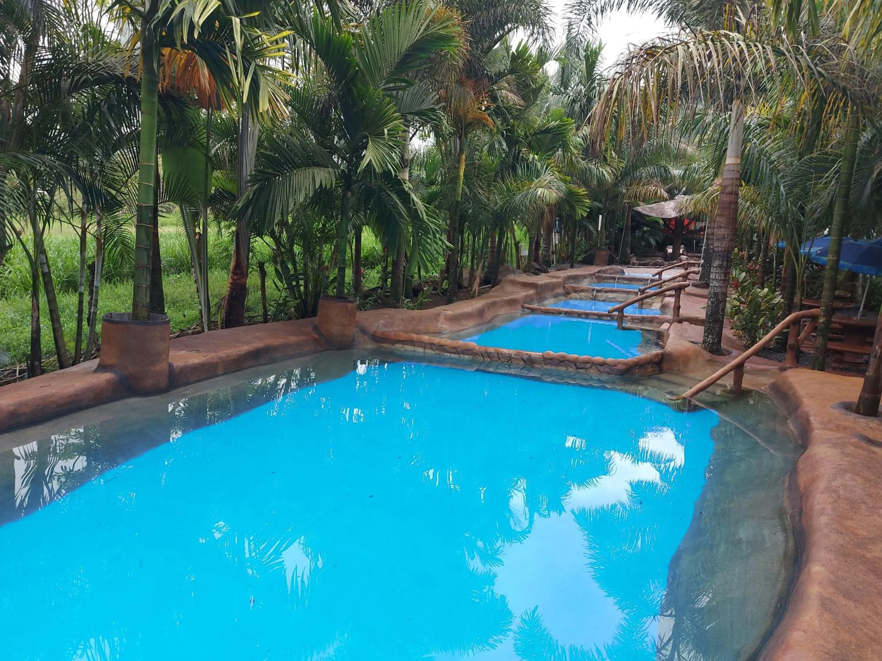 Hotel Palmera Real Hot Springs