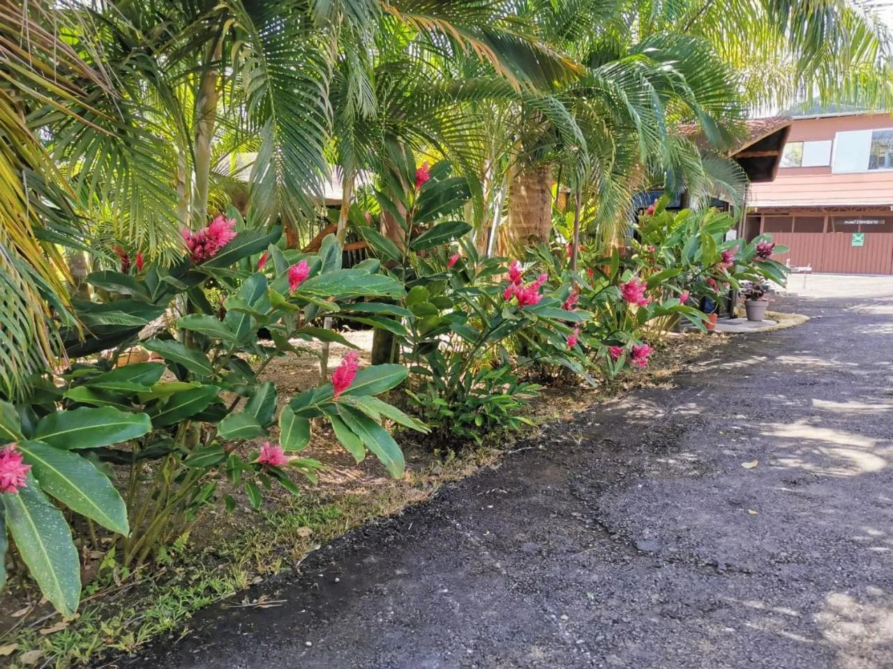 Garden in Hotel Palmera Real Hot Springs