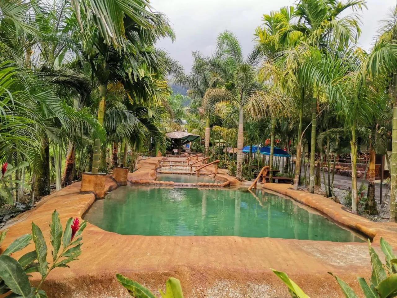 Hotel Palmera Real Hot Springs