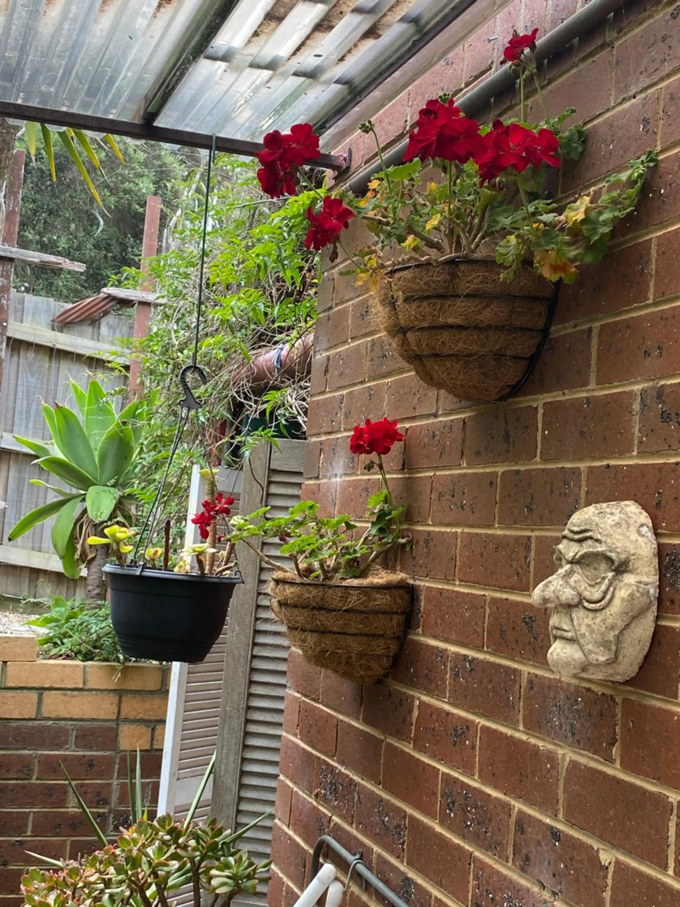 Garden in The Studio