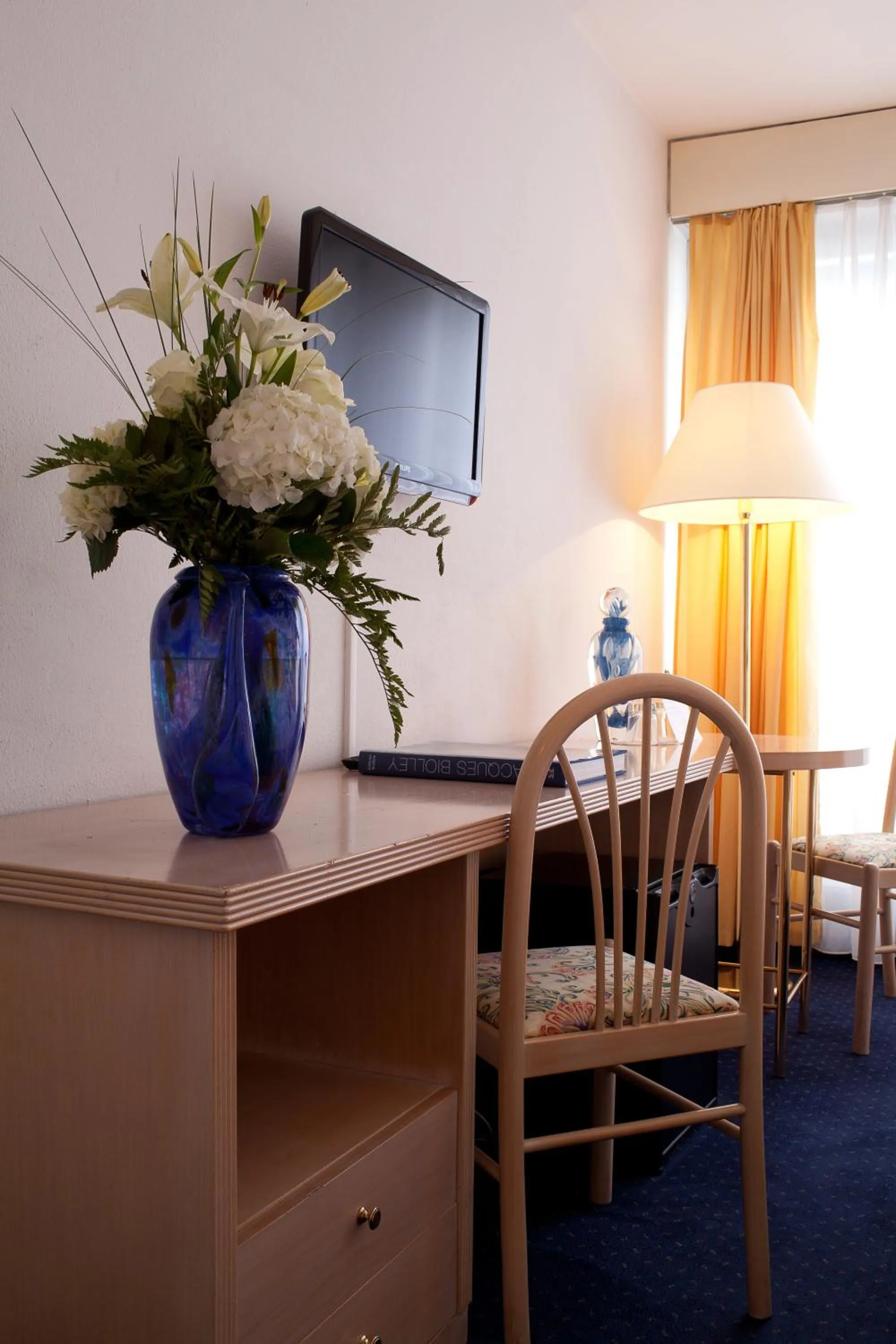 TV and multimedia in Drake Longchamp