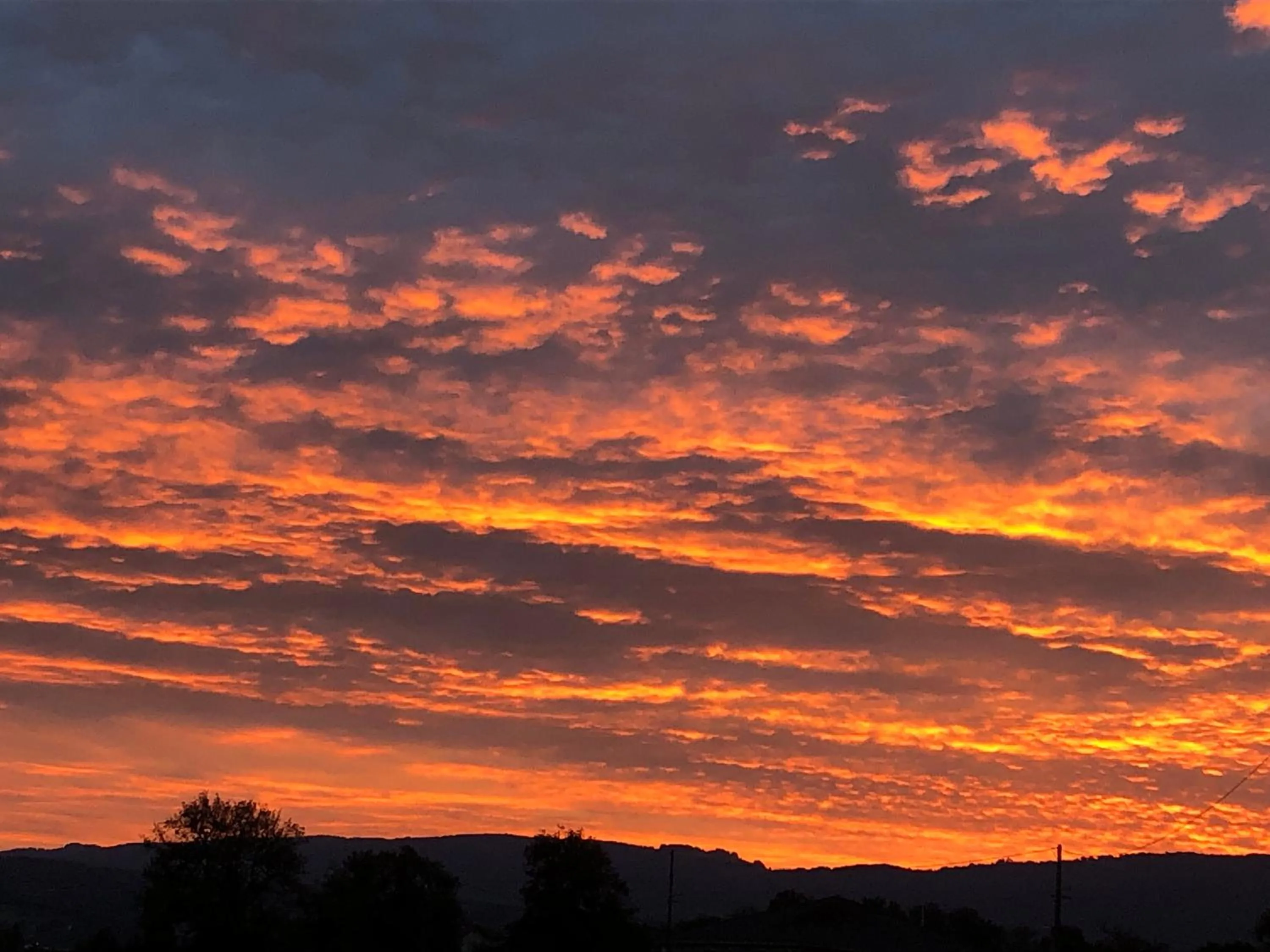 Natural landscape in Ibis Budget Nangy Annemasse