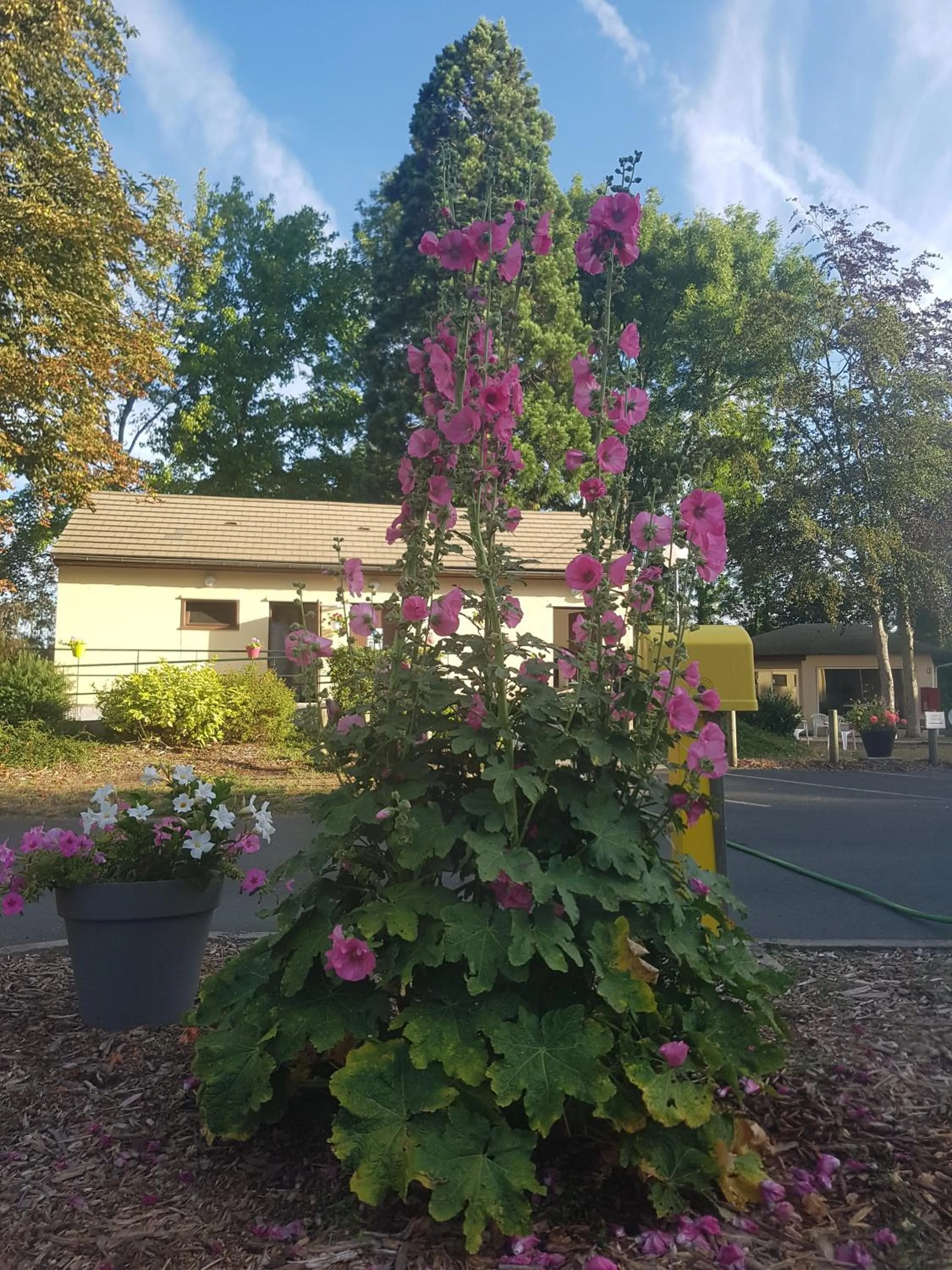 Camping le Rochat Belle Isle