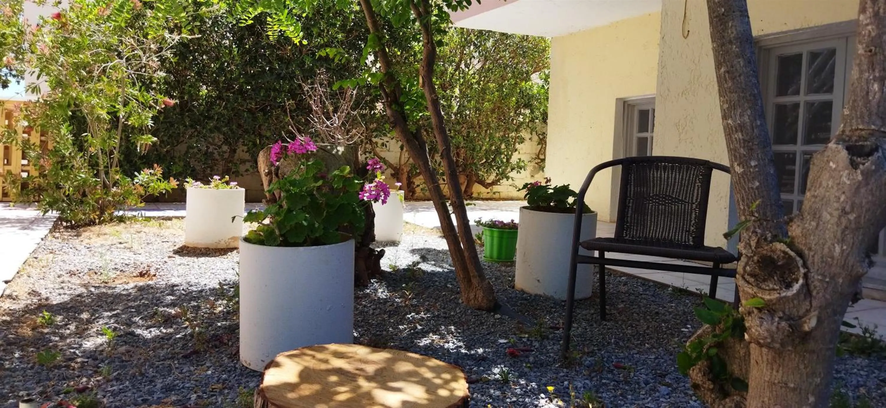 Garden in Cleo Rooms 250m from the beach