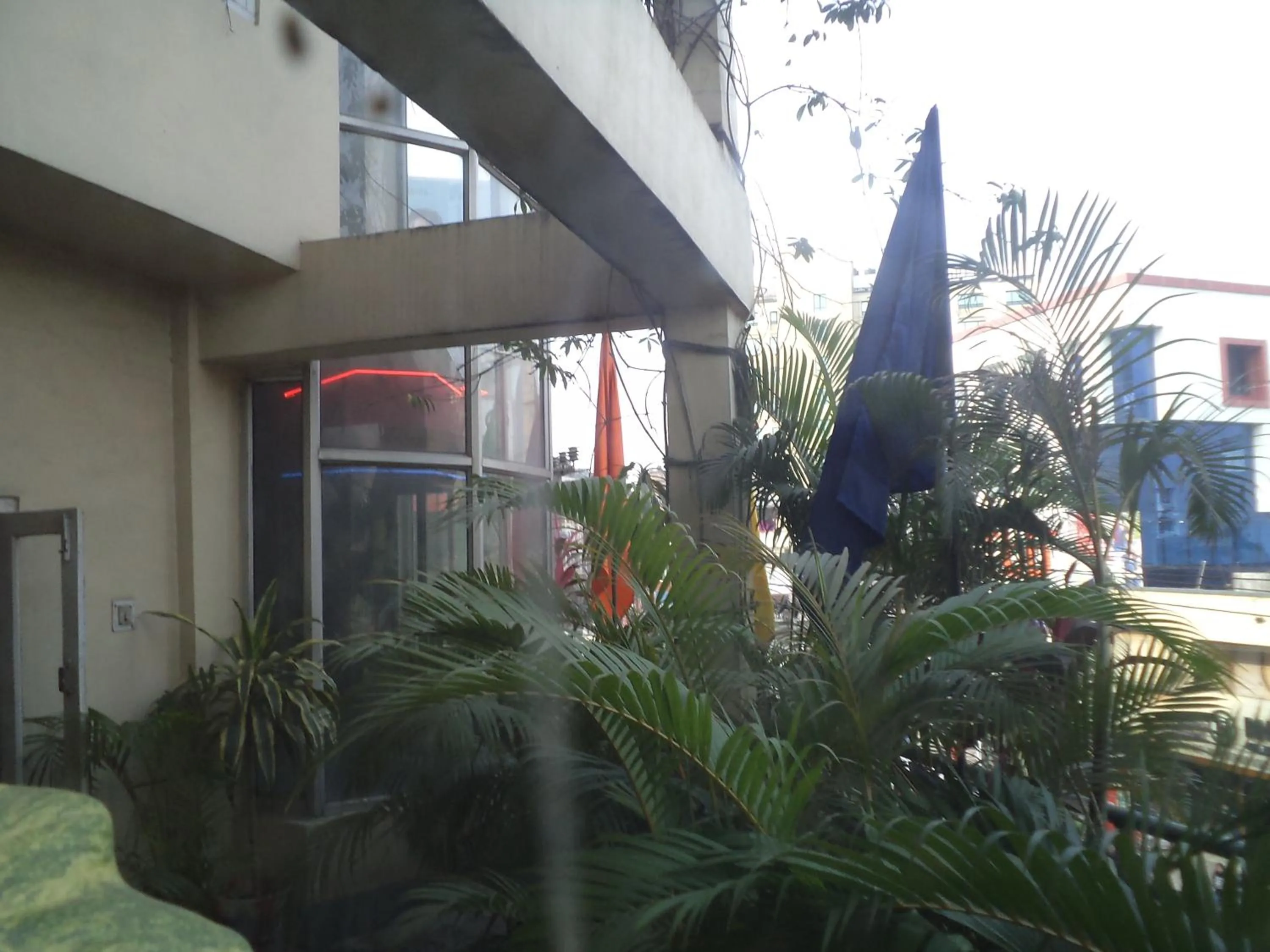 Garden in Hotel Mahalaxmi Indo Myanmar