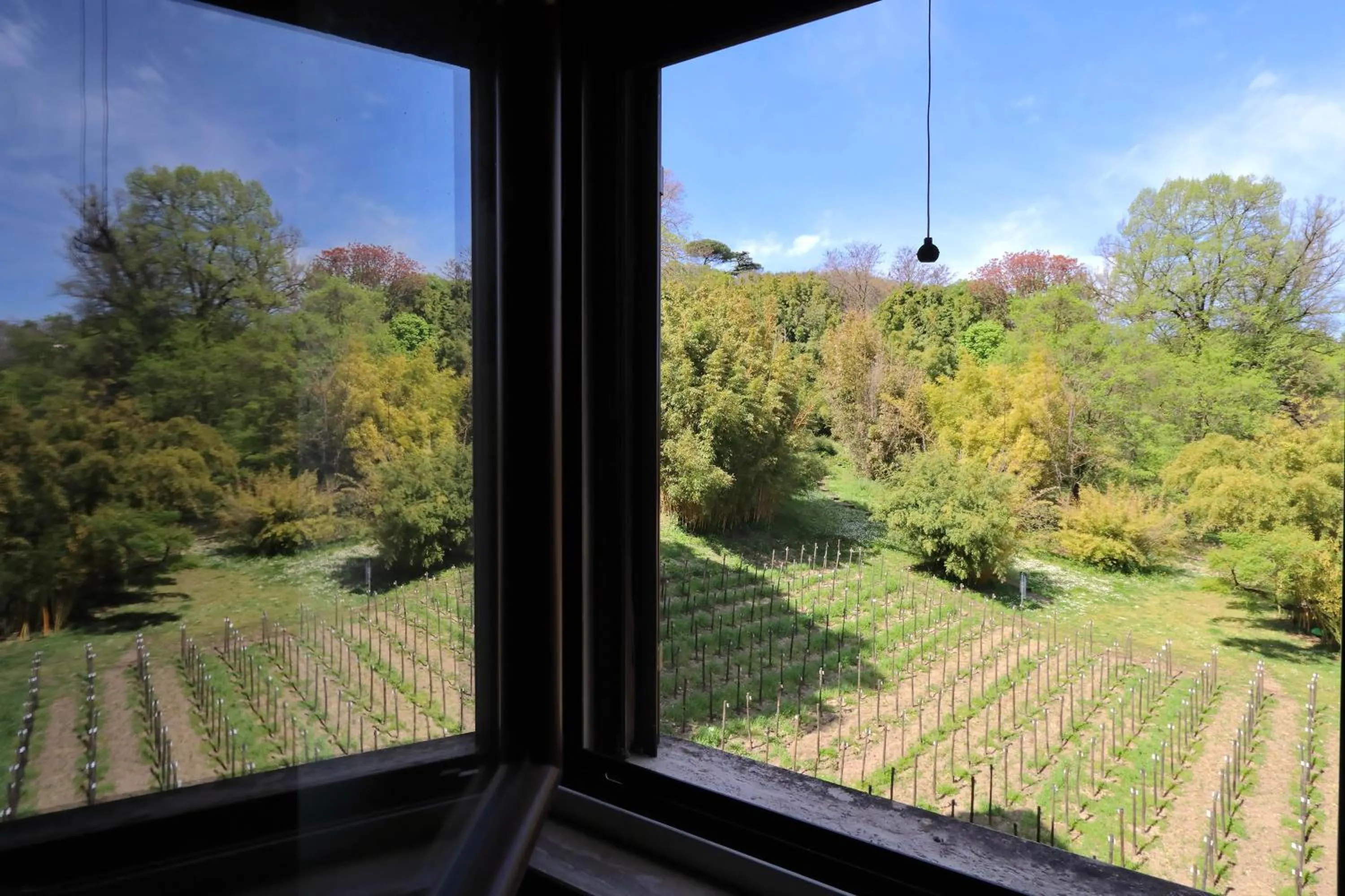 Il mulino di Trastevere - My Extra Home