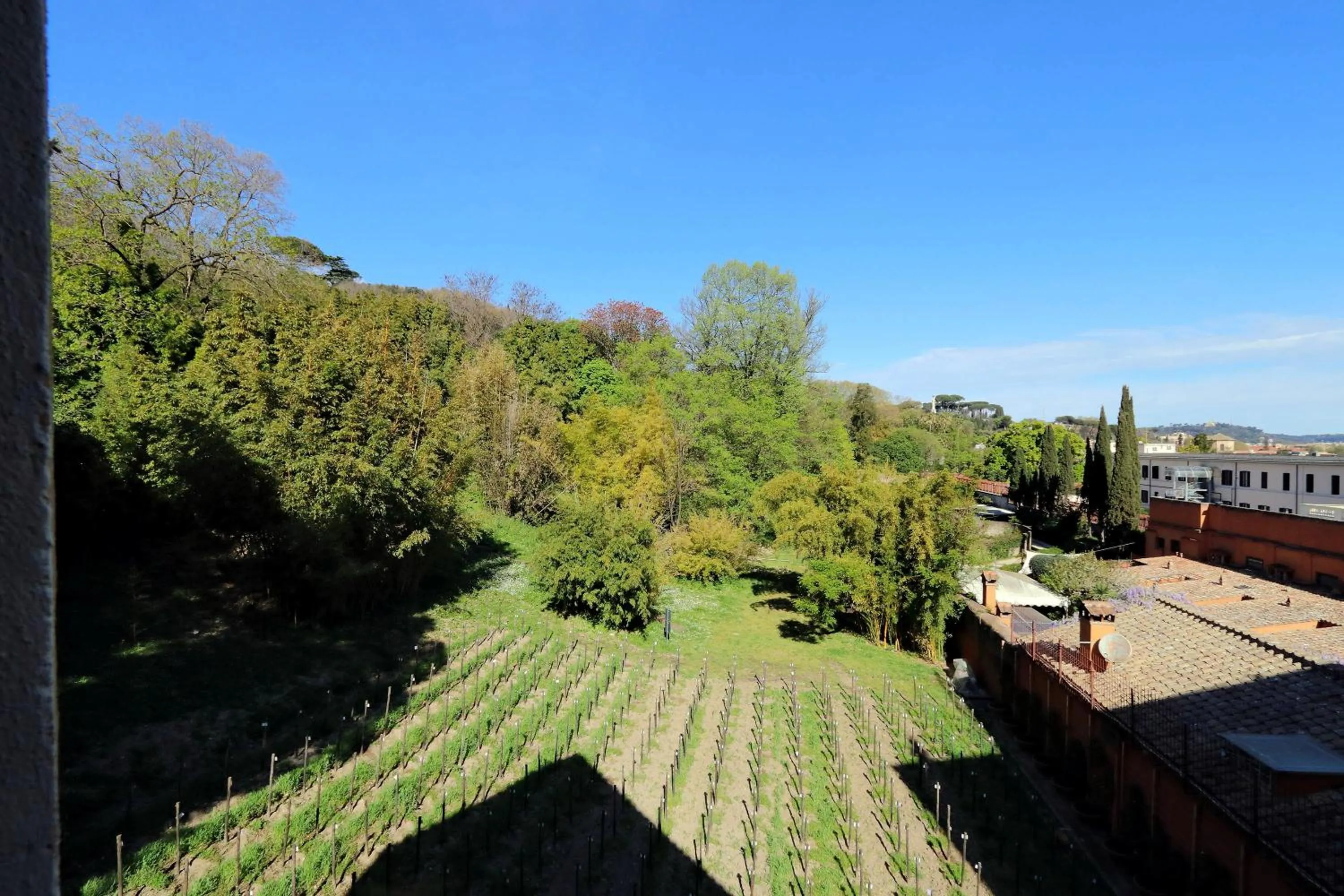 Garden in Il mulino di Trastevere - My Extra Home