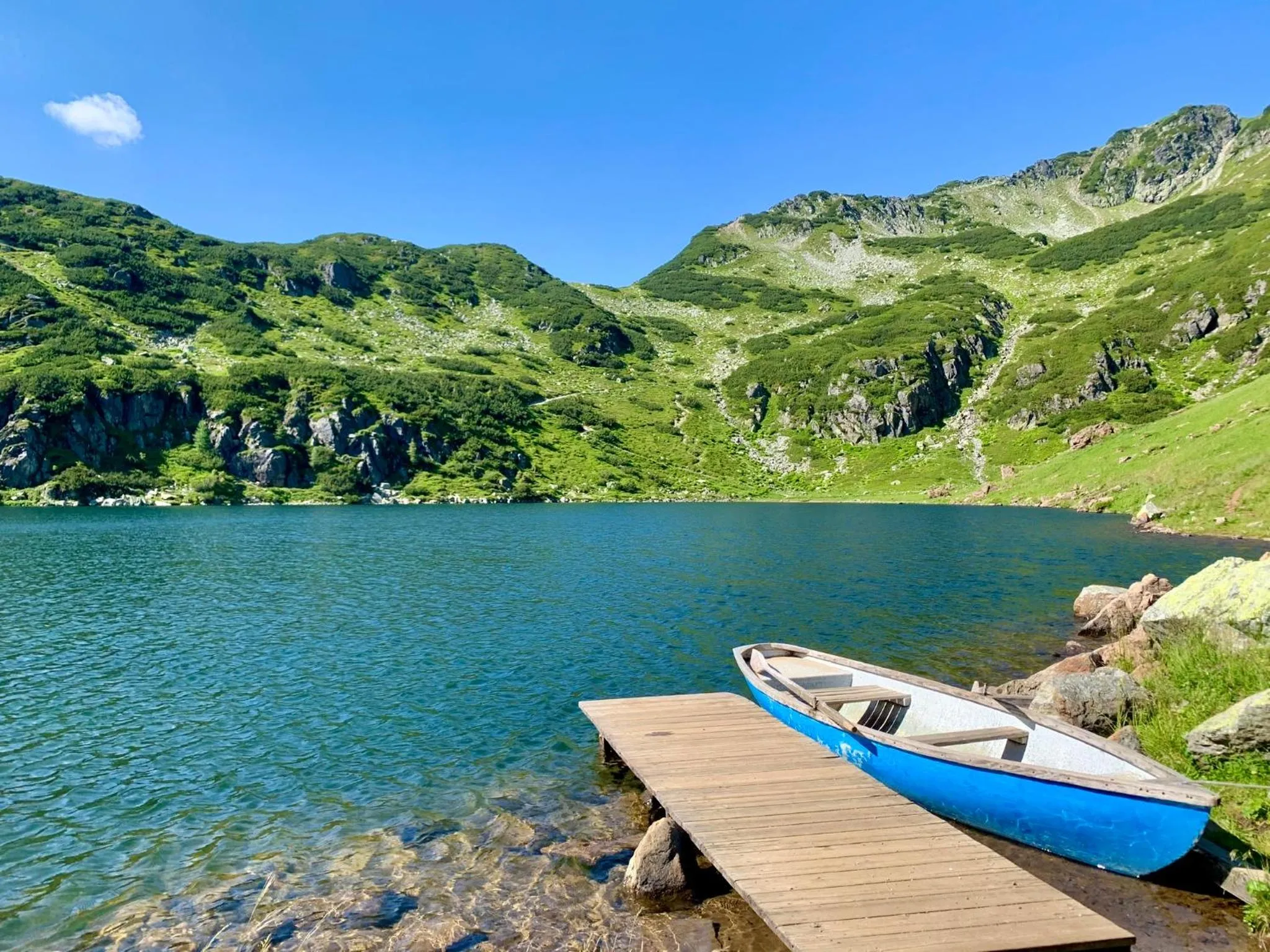 Natural landscape in Sunnseit Lodge - Kitzbüheler Alpen
