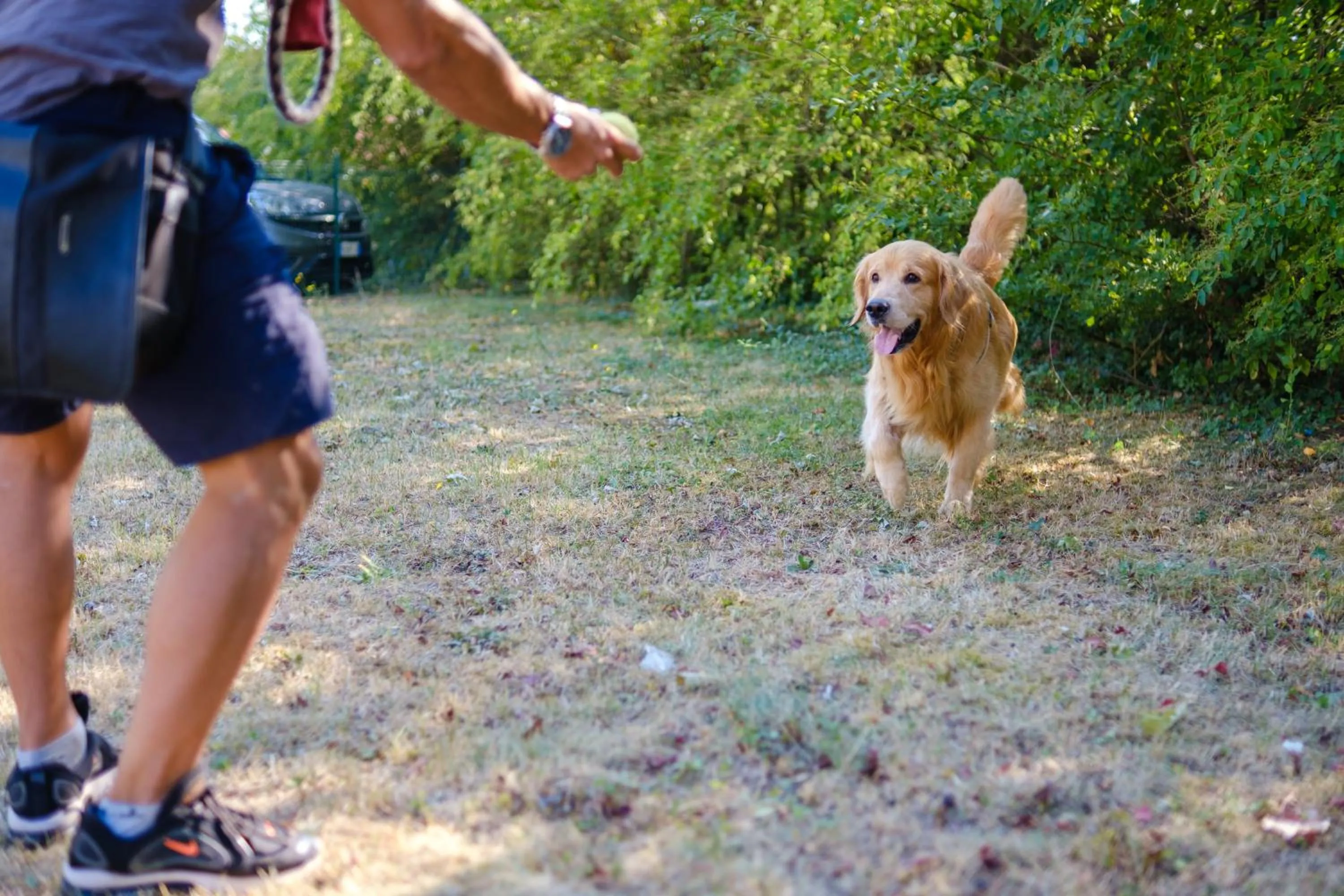 Hotel Ristorante Brusco
