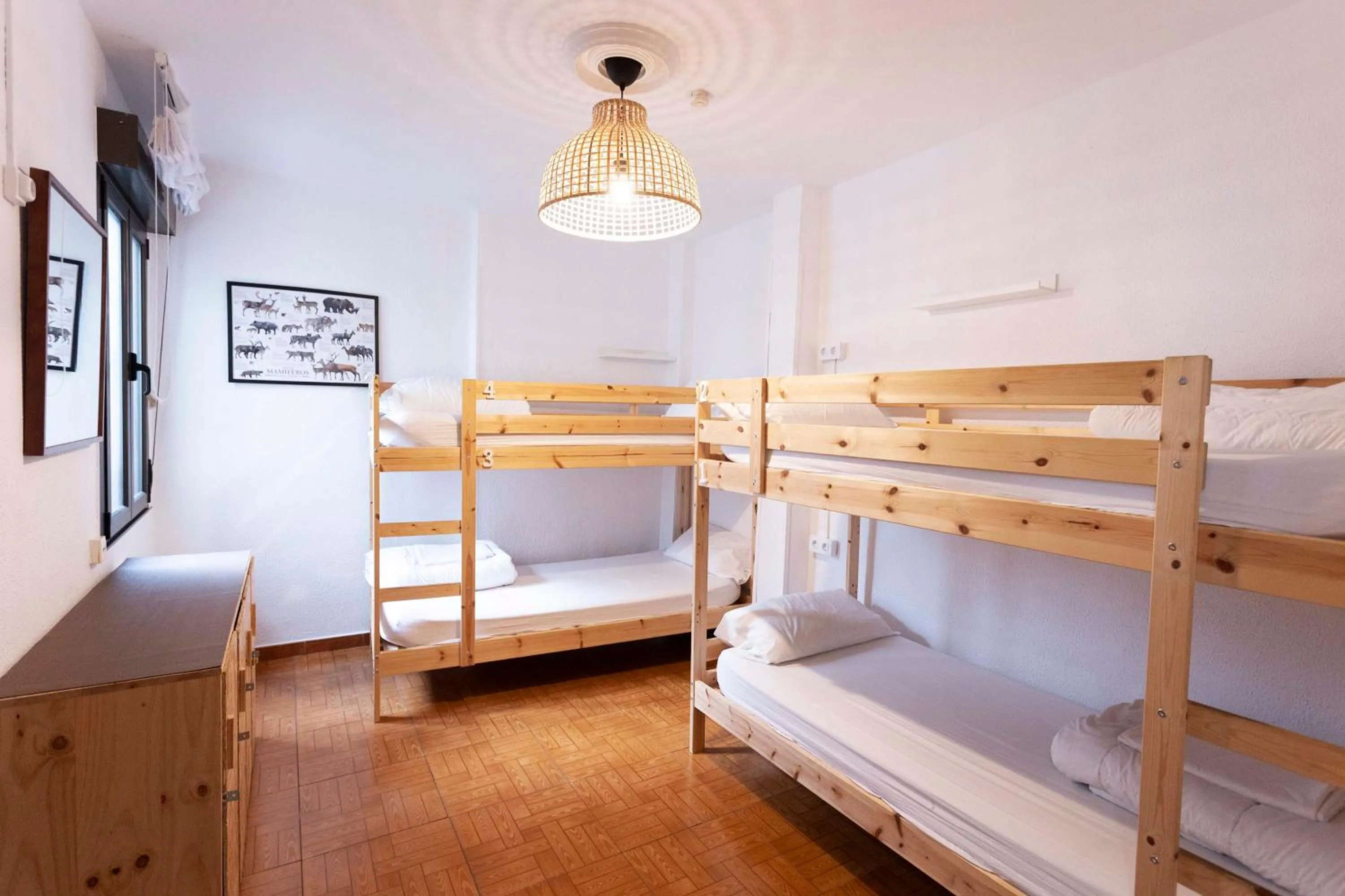 Photo of the whole room, Bed in Green Hostel Oviedo