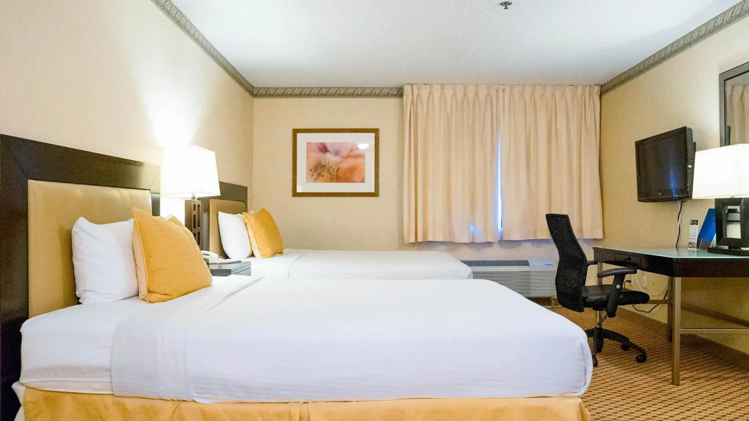 King Room with Two King Beds - Non-Smoking in Studio 6 Anaheim Hills CA King Room with Two King Beds - Non-Smoking in Studio 6 Anaheim Hills CA