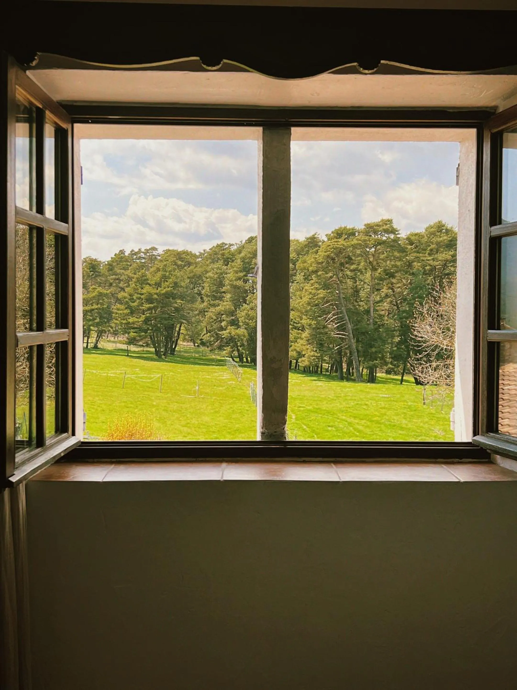 View (from property/room) in La Bastide des Pins