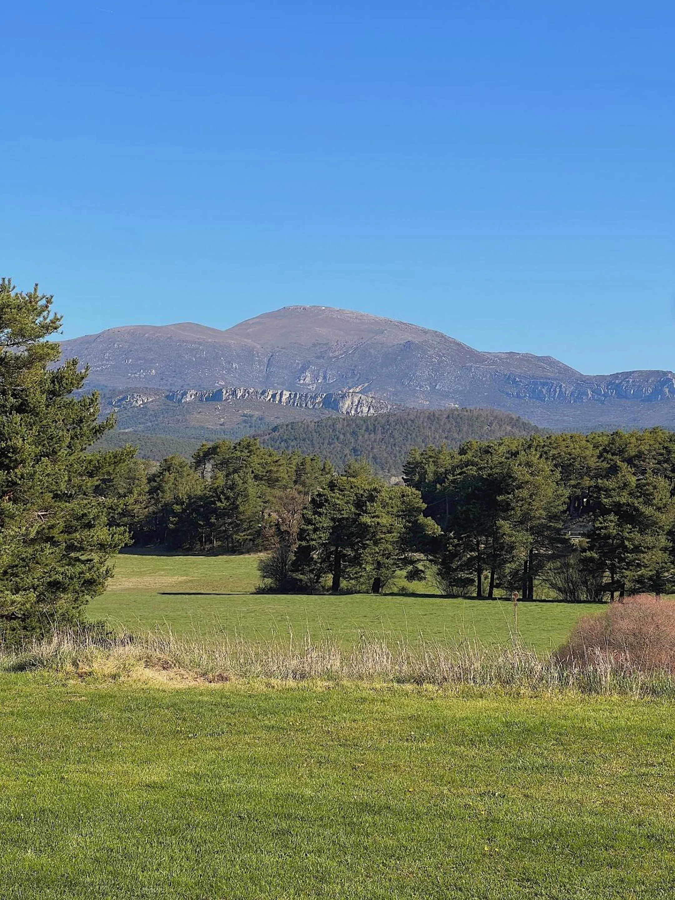 Property building in La Bastide des Pins