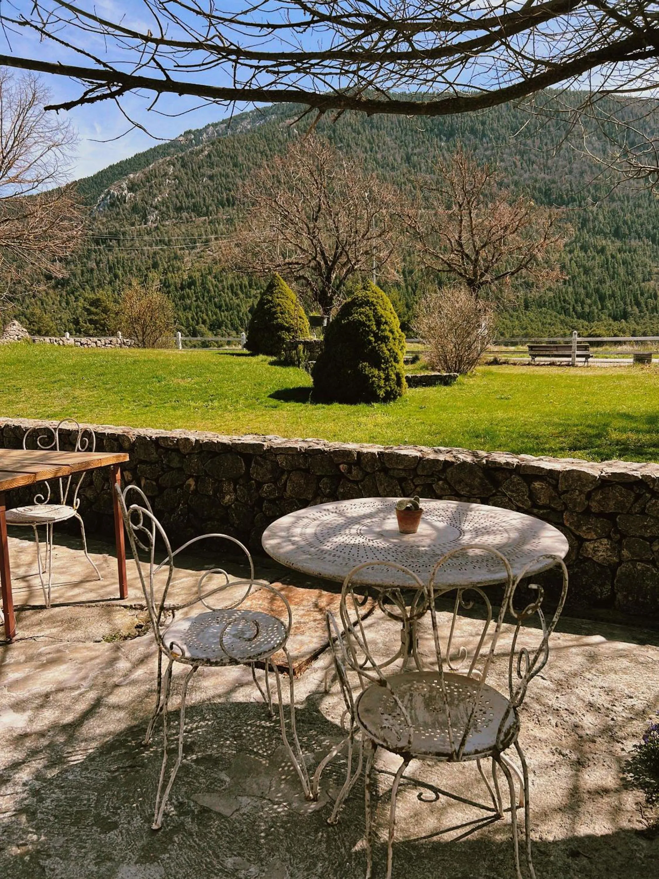 Garden in La Bastide des Pins