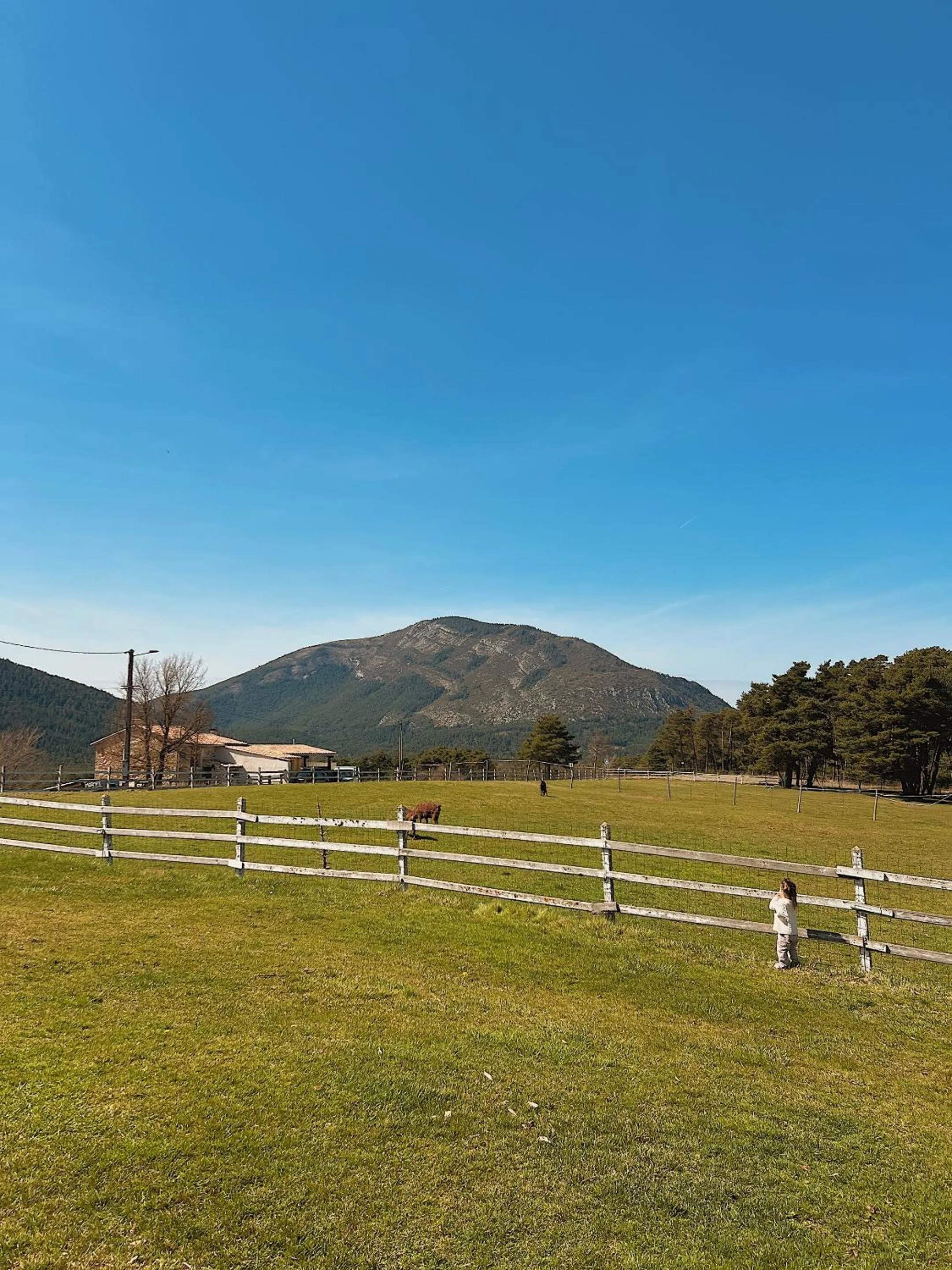 Garden in La Bastide des Pins