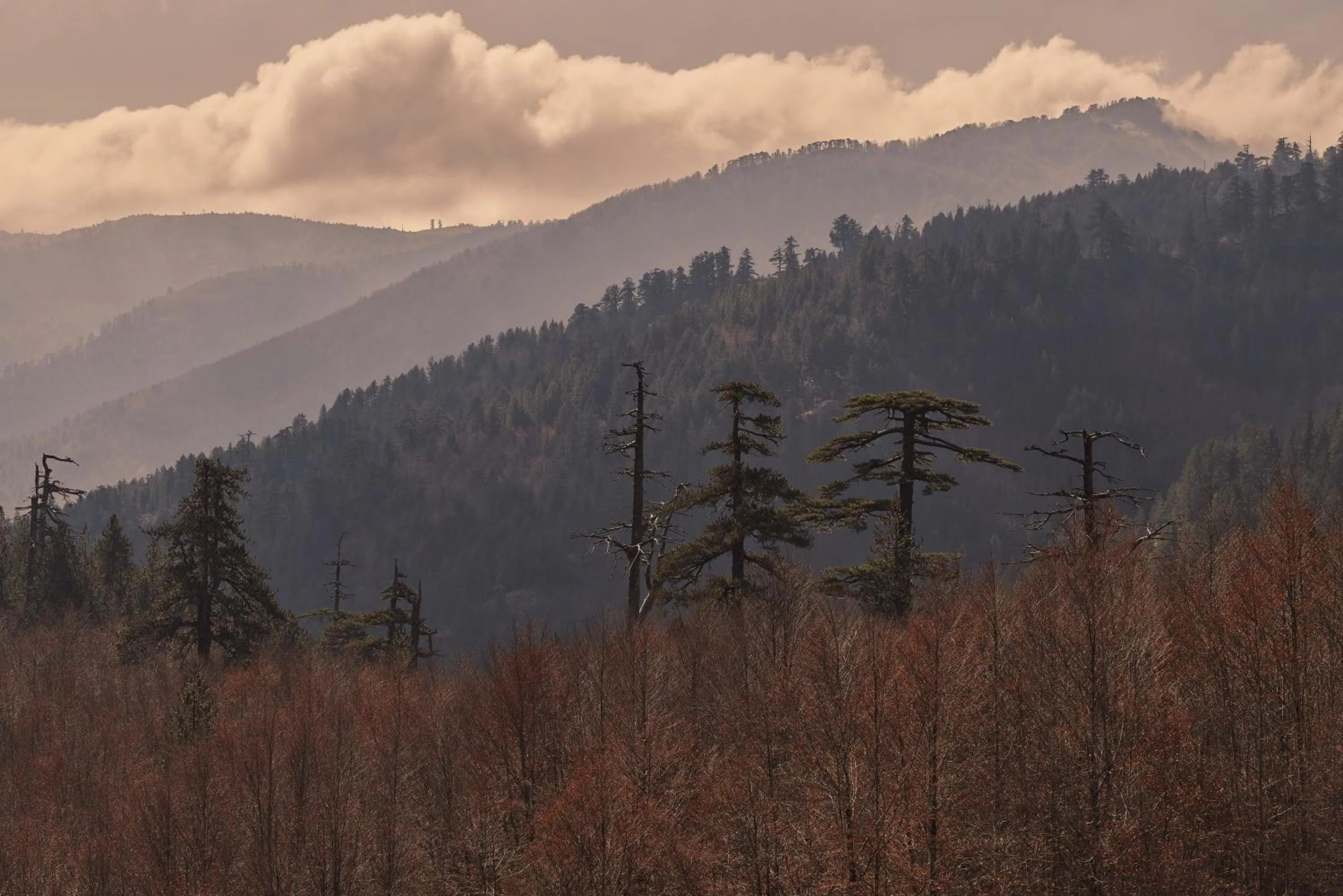 Grand Forest Metsovo - Leading Hotels of the World