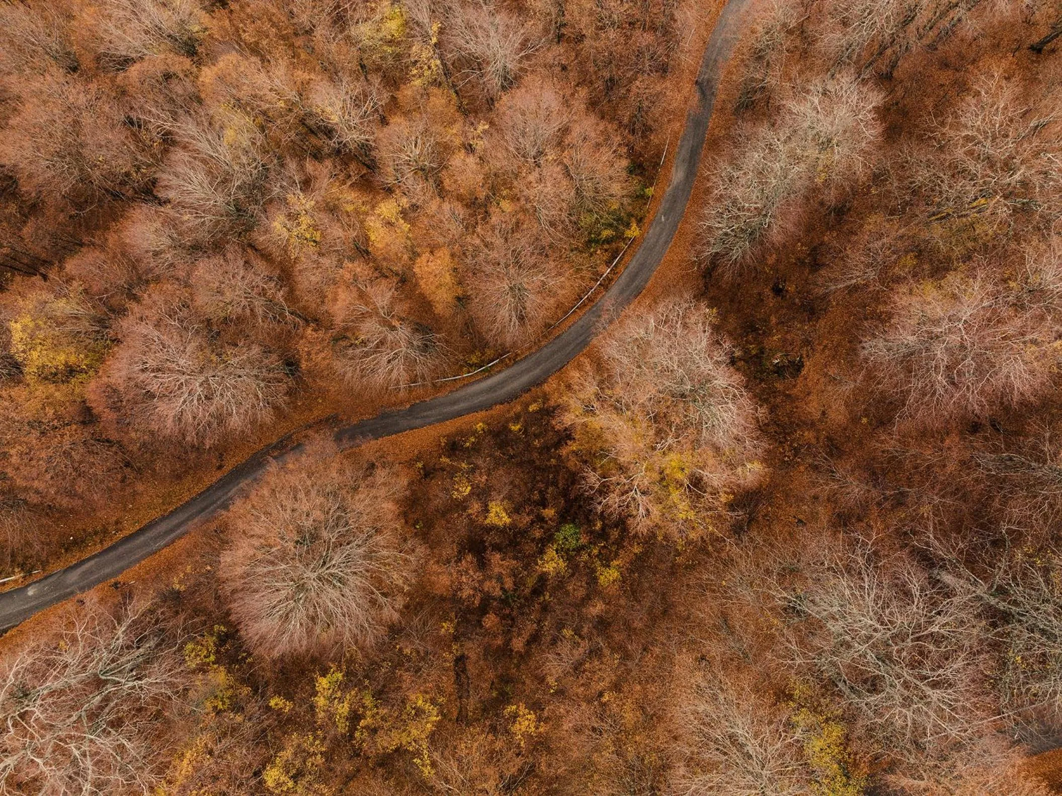 Grand Forest Metsovo - Leading Hotels of the World