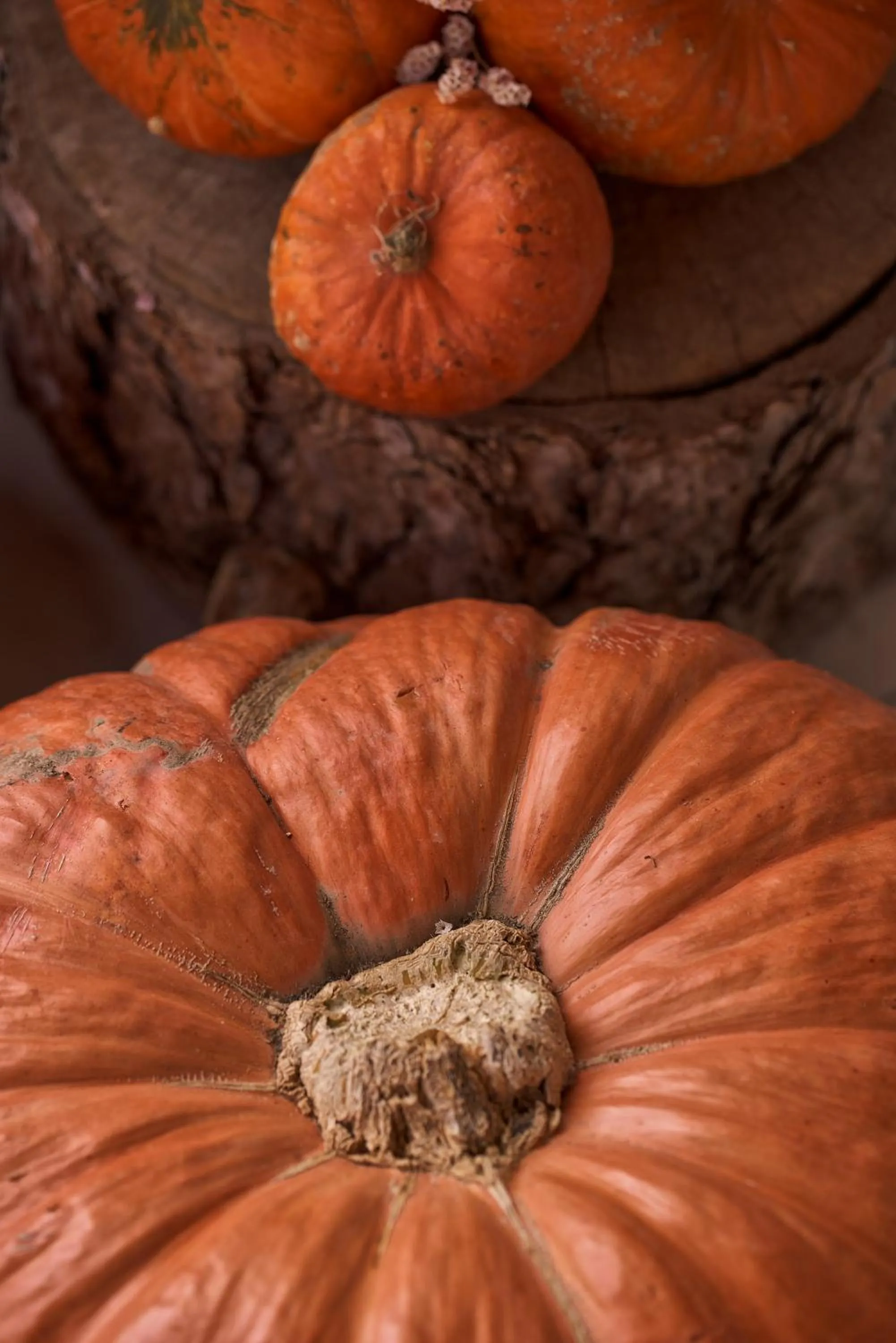 Grand Forest Metsovo - Leading Hotels of the World