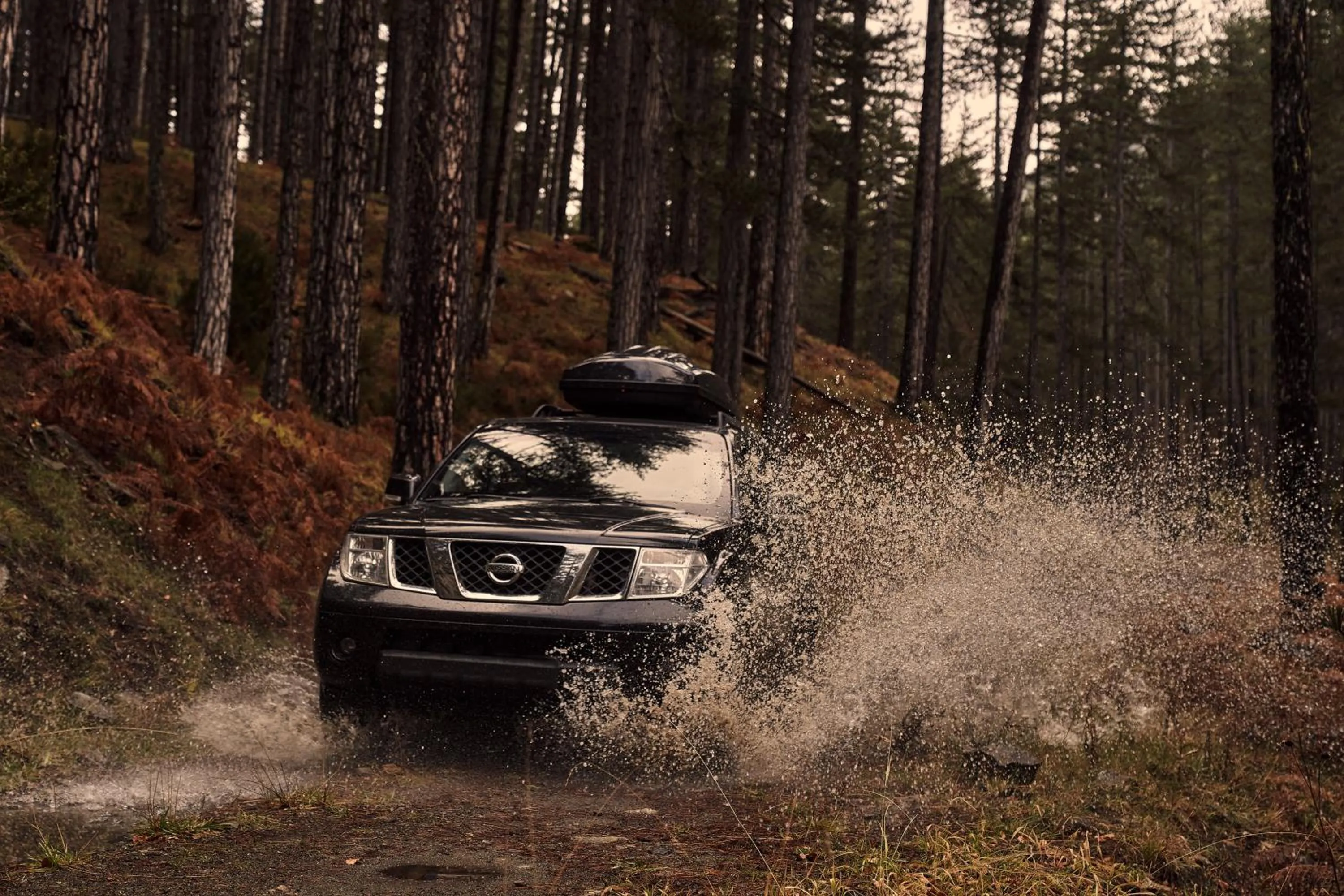 Natural landscape in Grand Forest Metsovo - Leading Hotels of the World