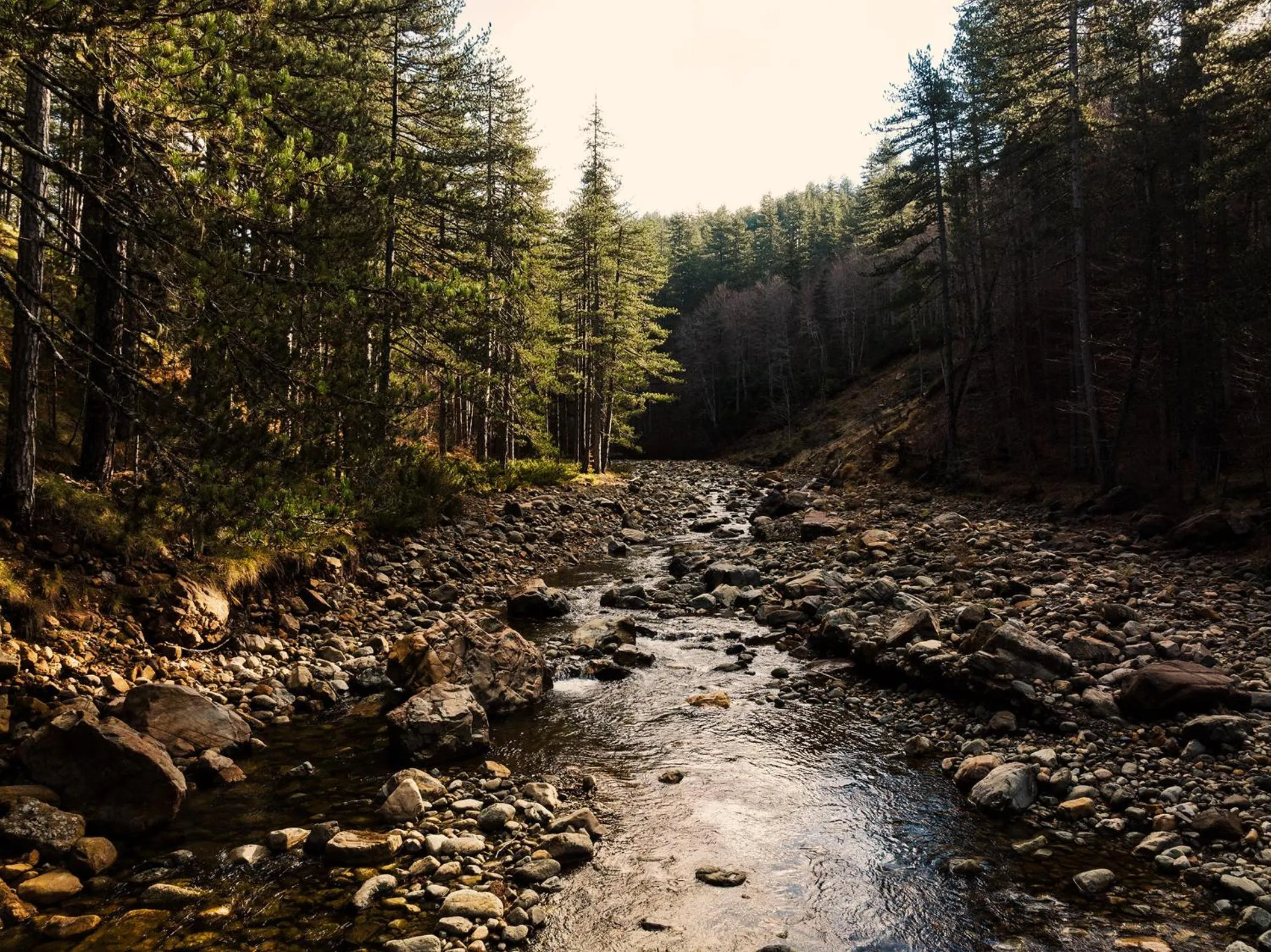 Grand Forest Metsovo - Leading Hotels of the World