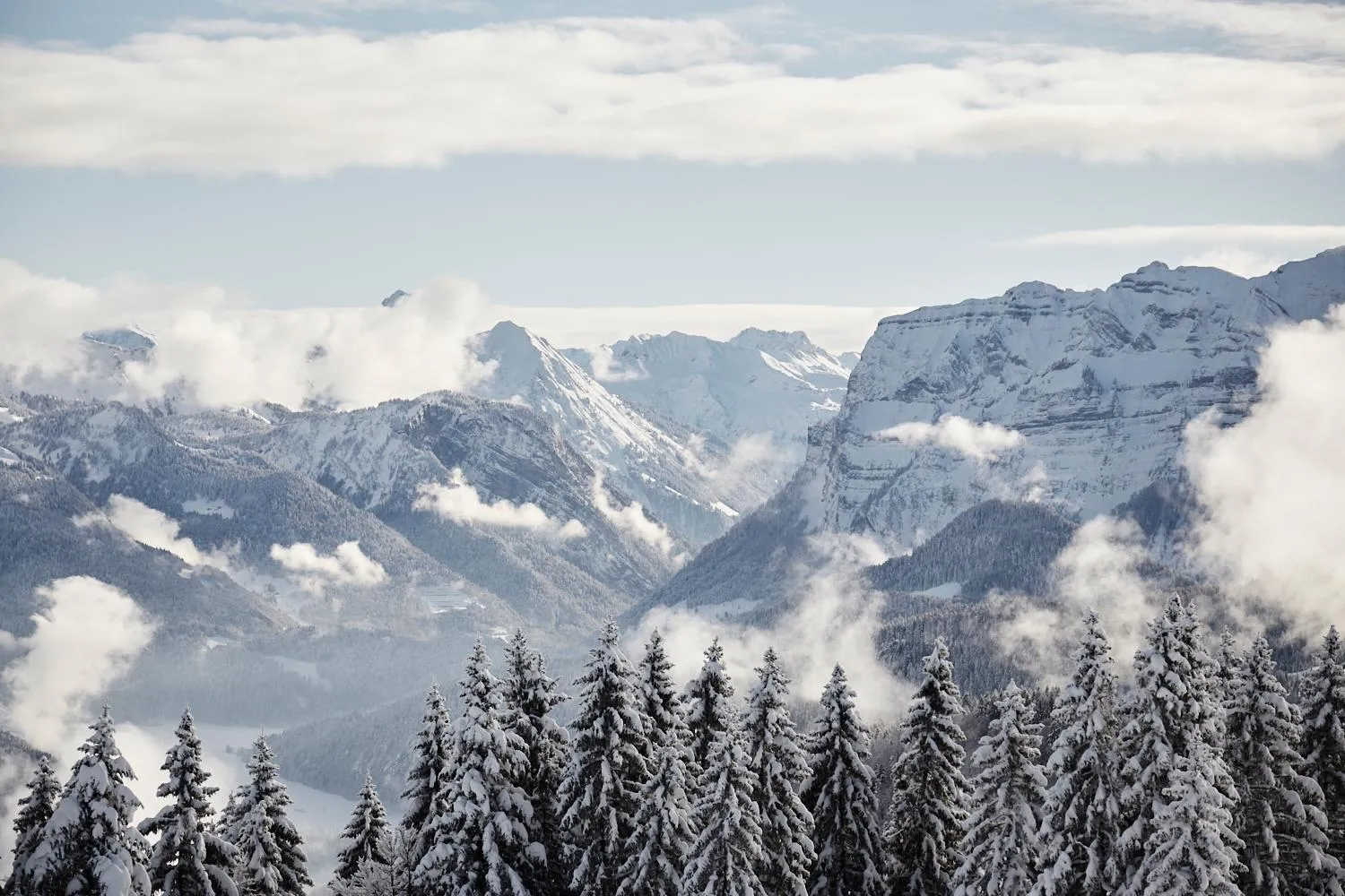 Winter in Gasthof Hirschen Schwarzenberg
