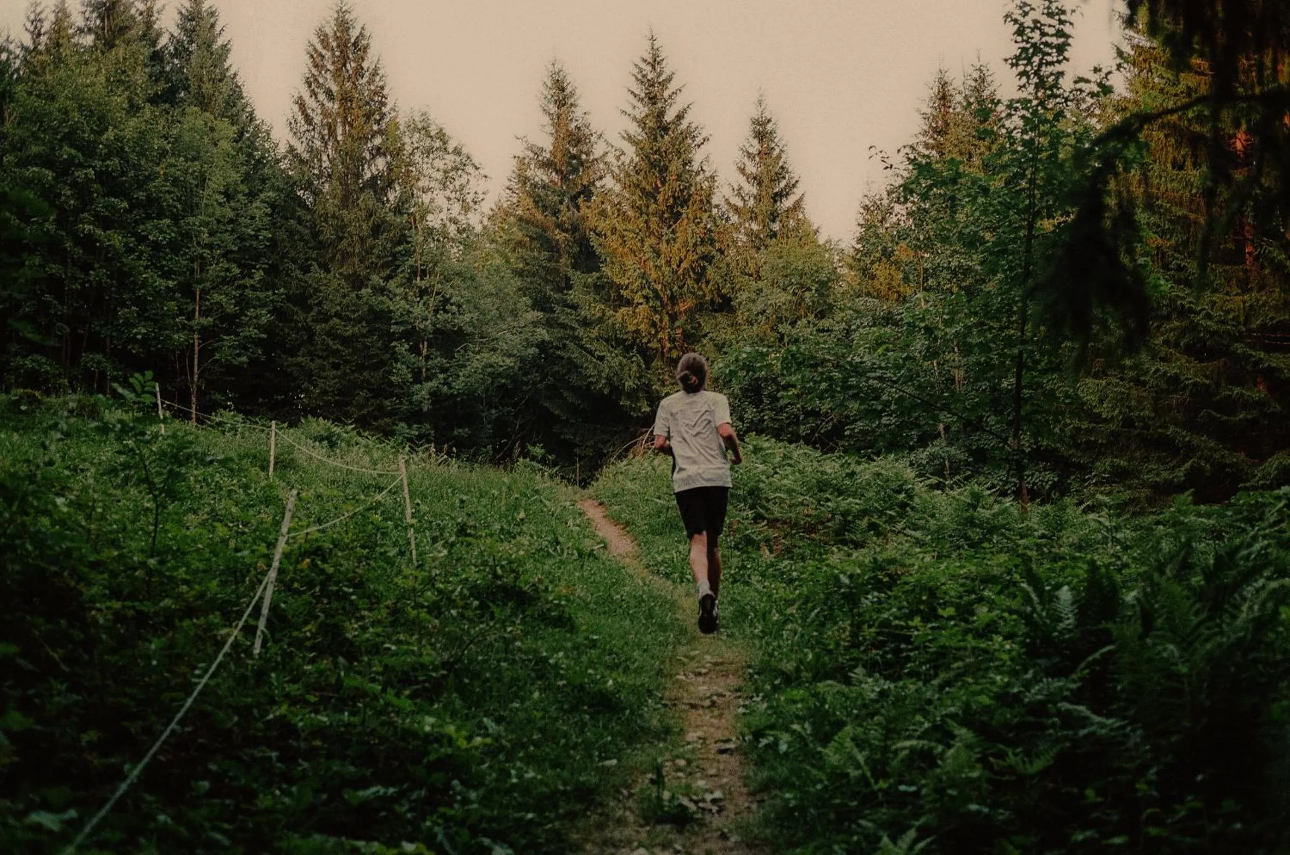 Gasthof Hirschen Schwarzenberg