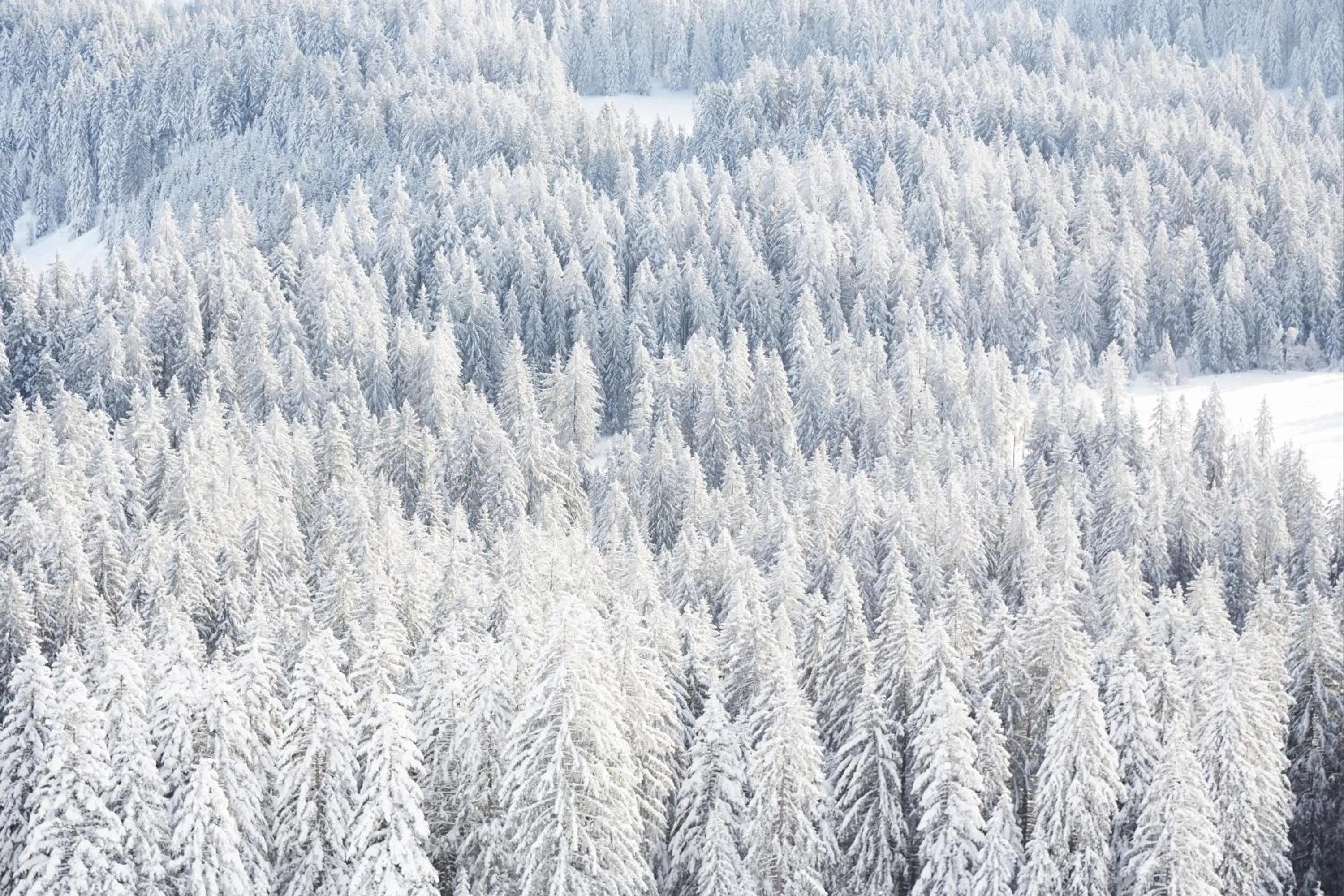 Natural landscape in Gasthof Hirschen Schwarzenberg