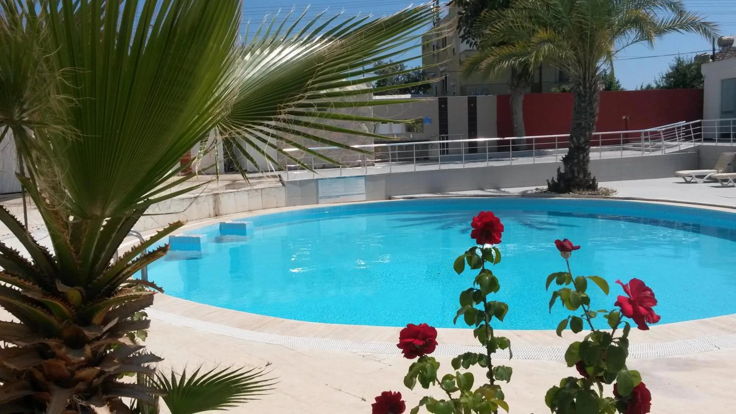 Pool view, Swimming Pool in Winecity Hotel