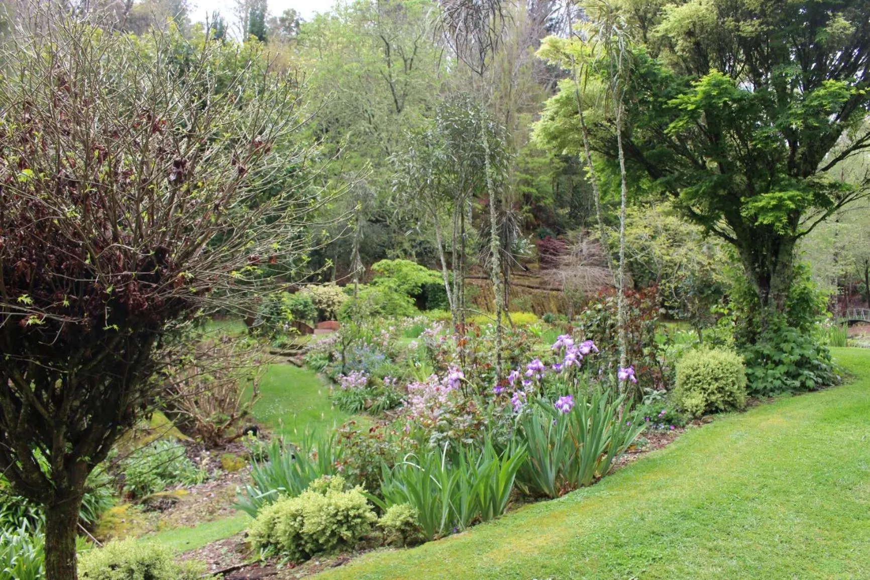 Garden in Aramatai Gardens