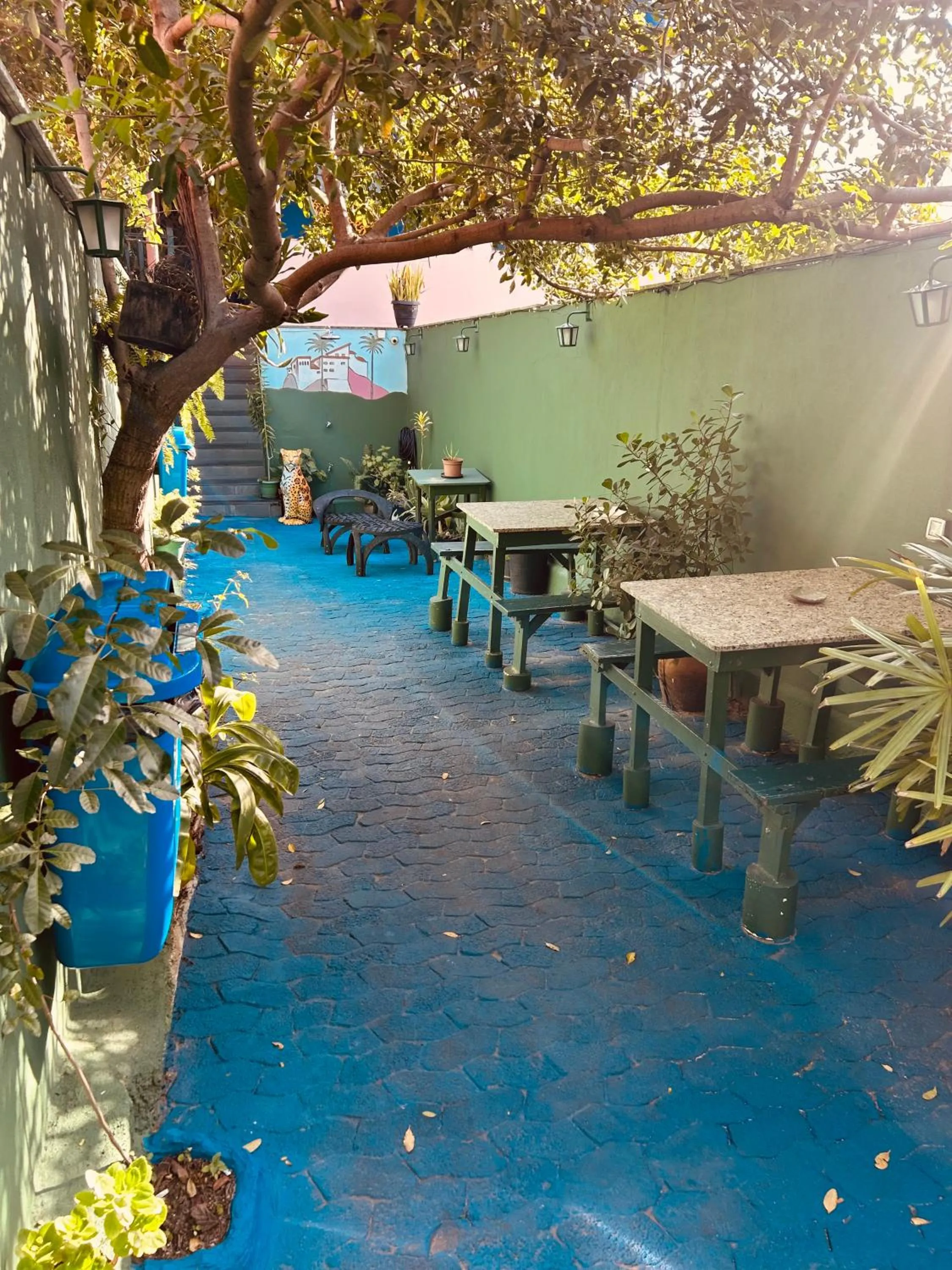 Garden in Onça da Praia Hostel