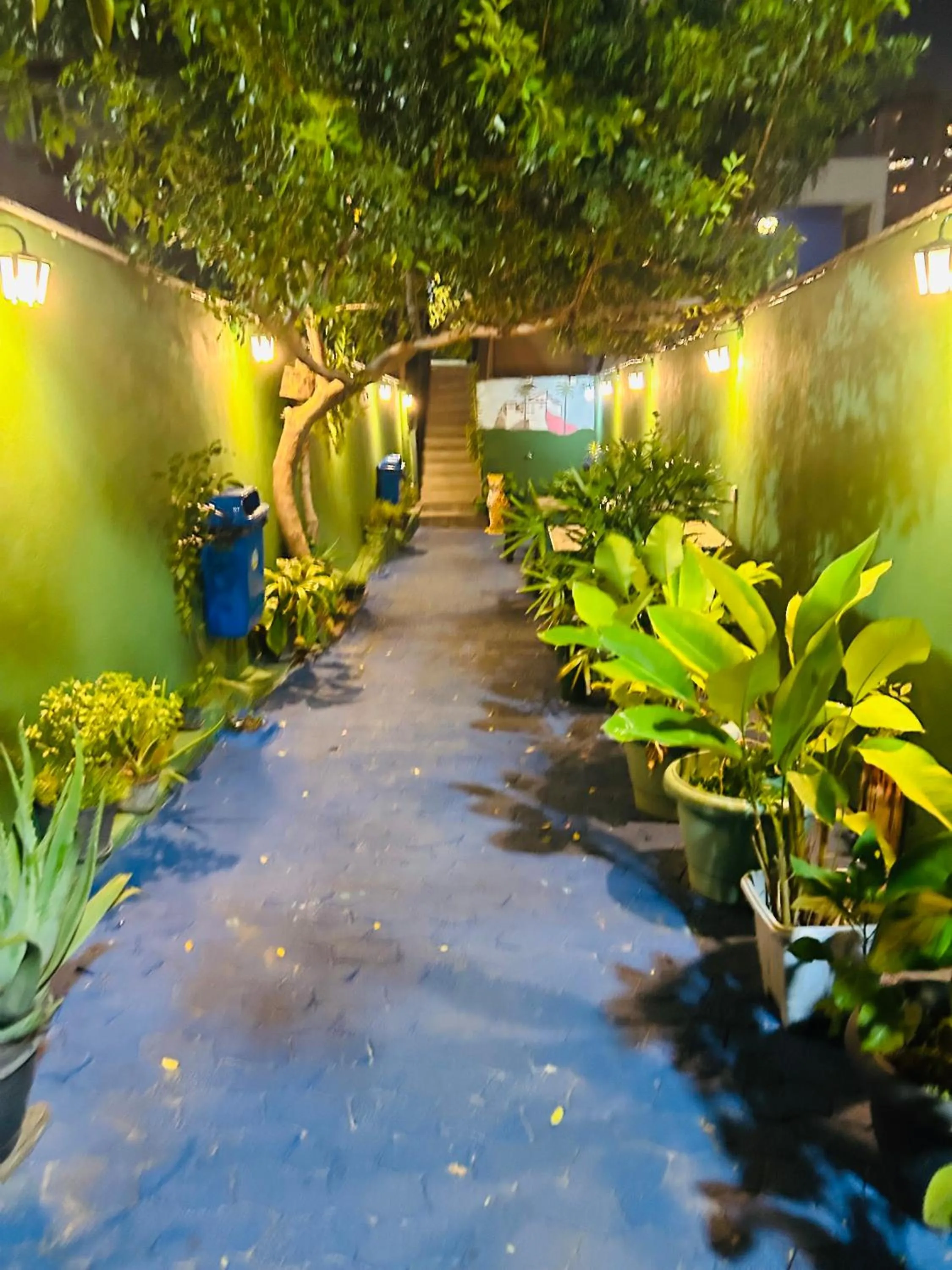 Garden in Onça da Praia Hostel