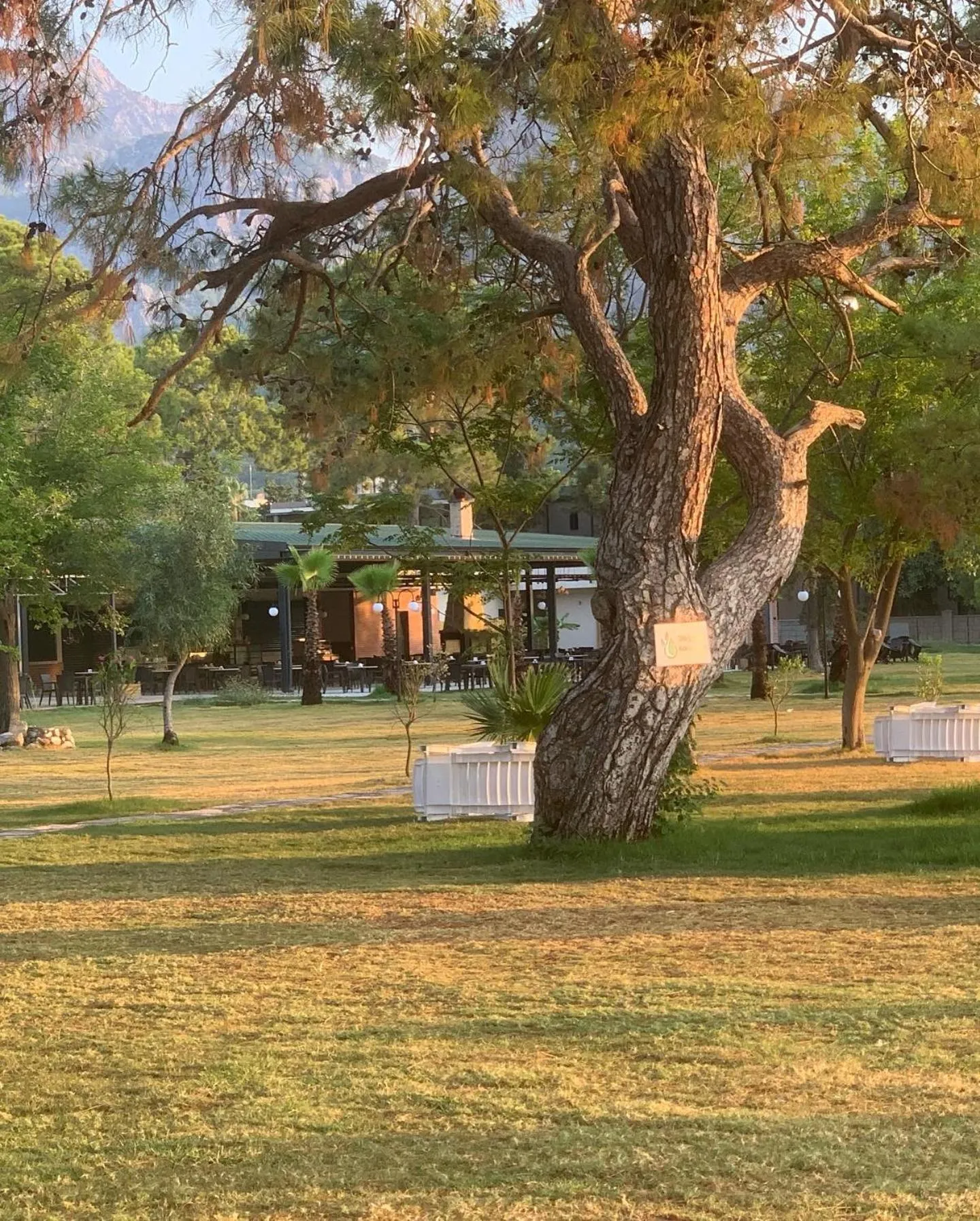 Beach in BELCAN Hotel