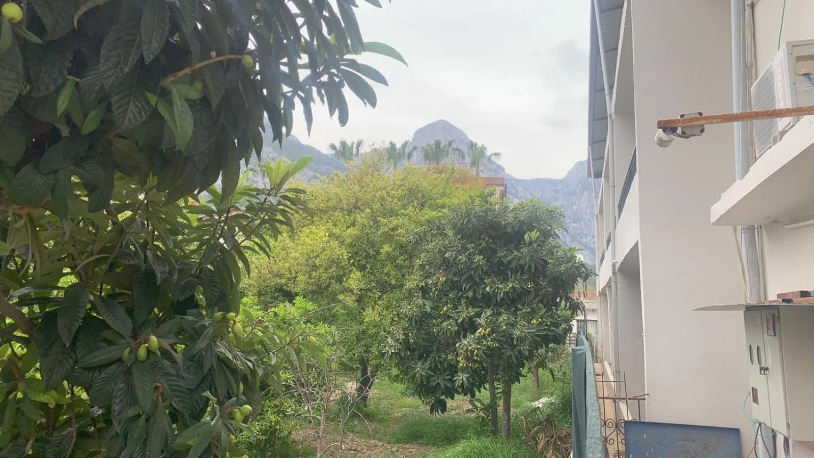 Neighbourhood in BELCAN Hotel