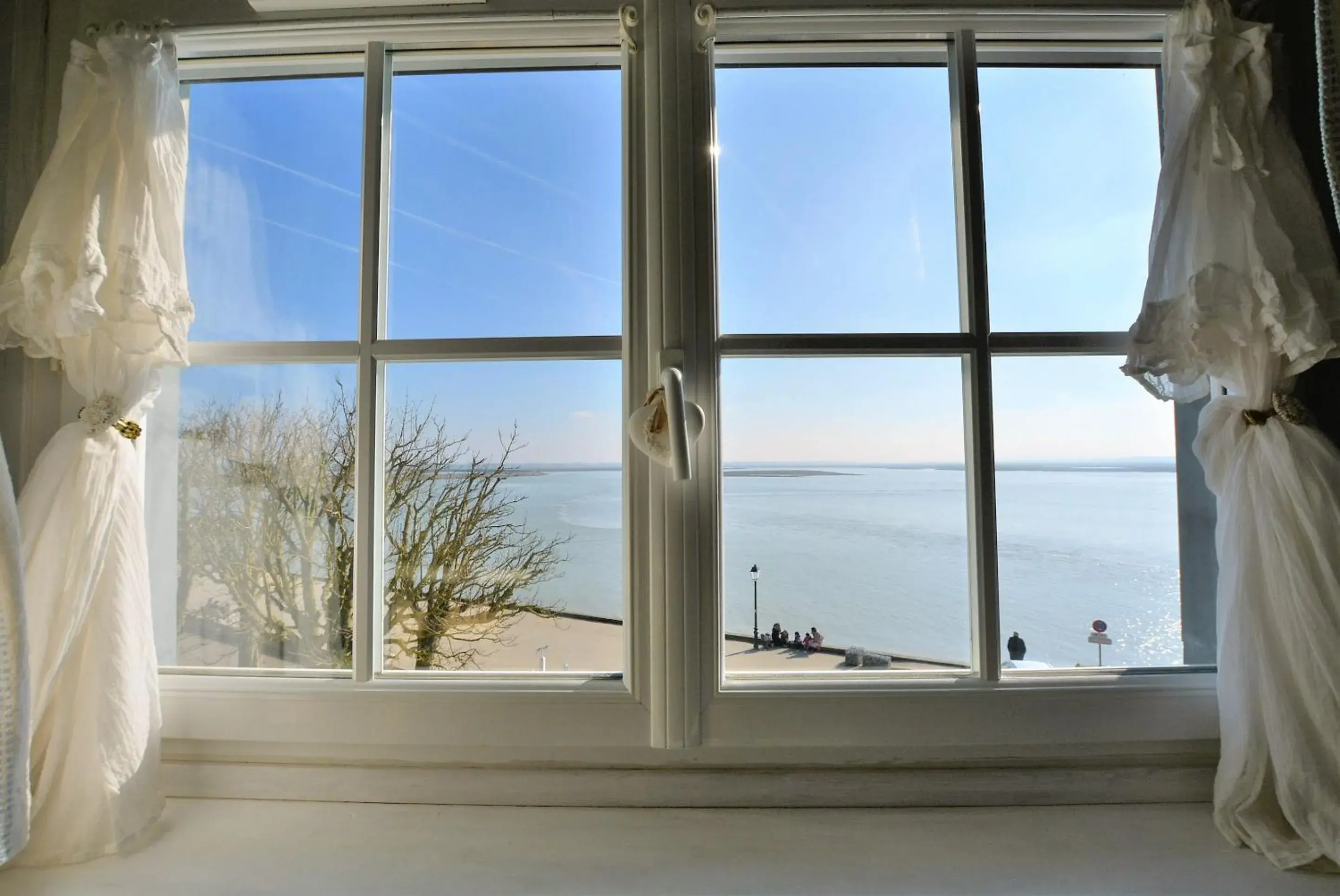 Les Mouettes Blessées Les Mouettes Blessées