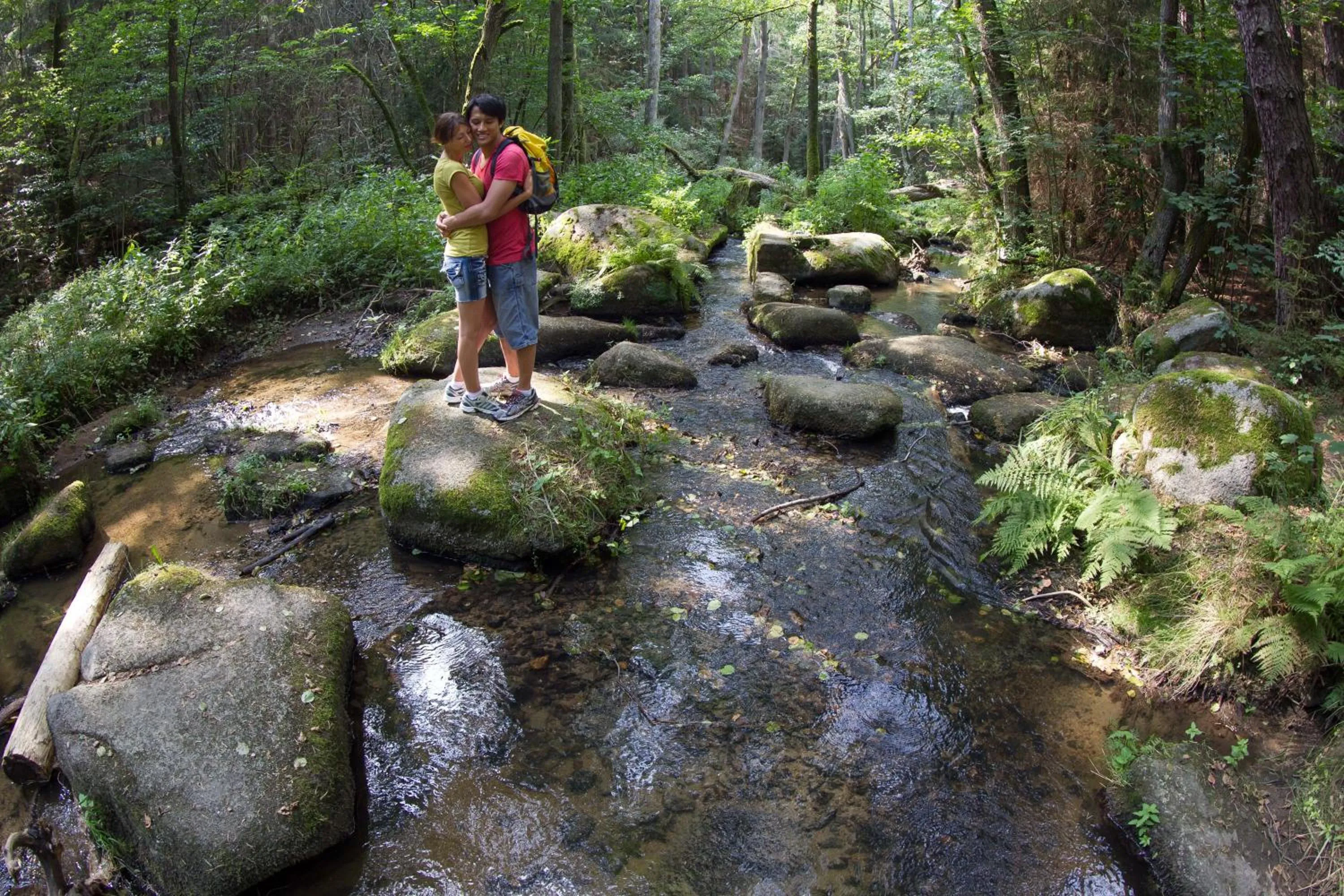 Hiking in Zum Schwarzen Bären
