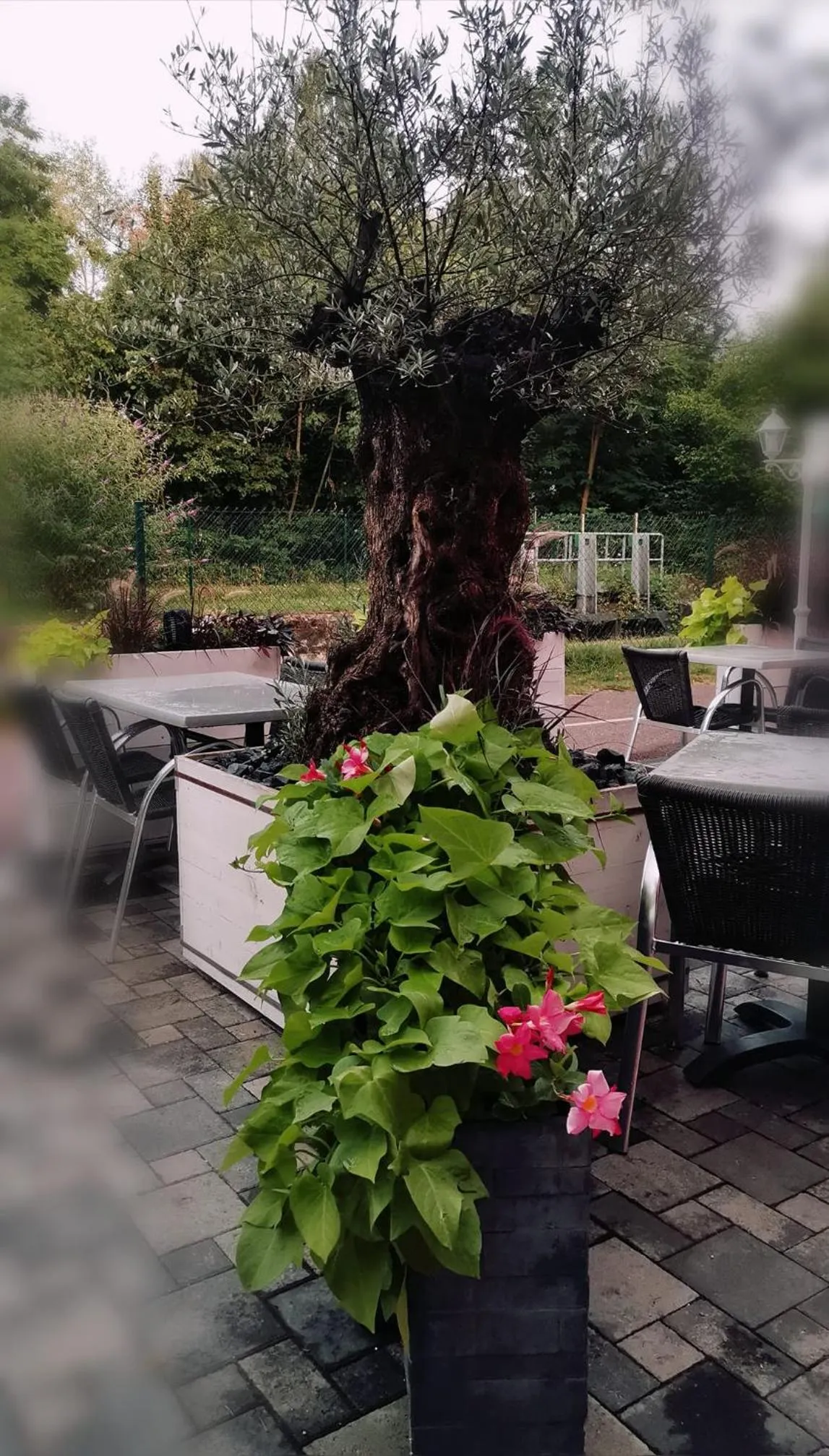 Neighbourhood in Au Hameau de l'Ecluse proche Europa-Park