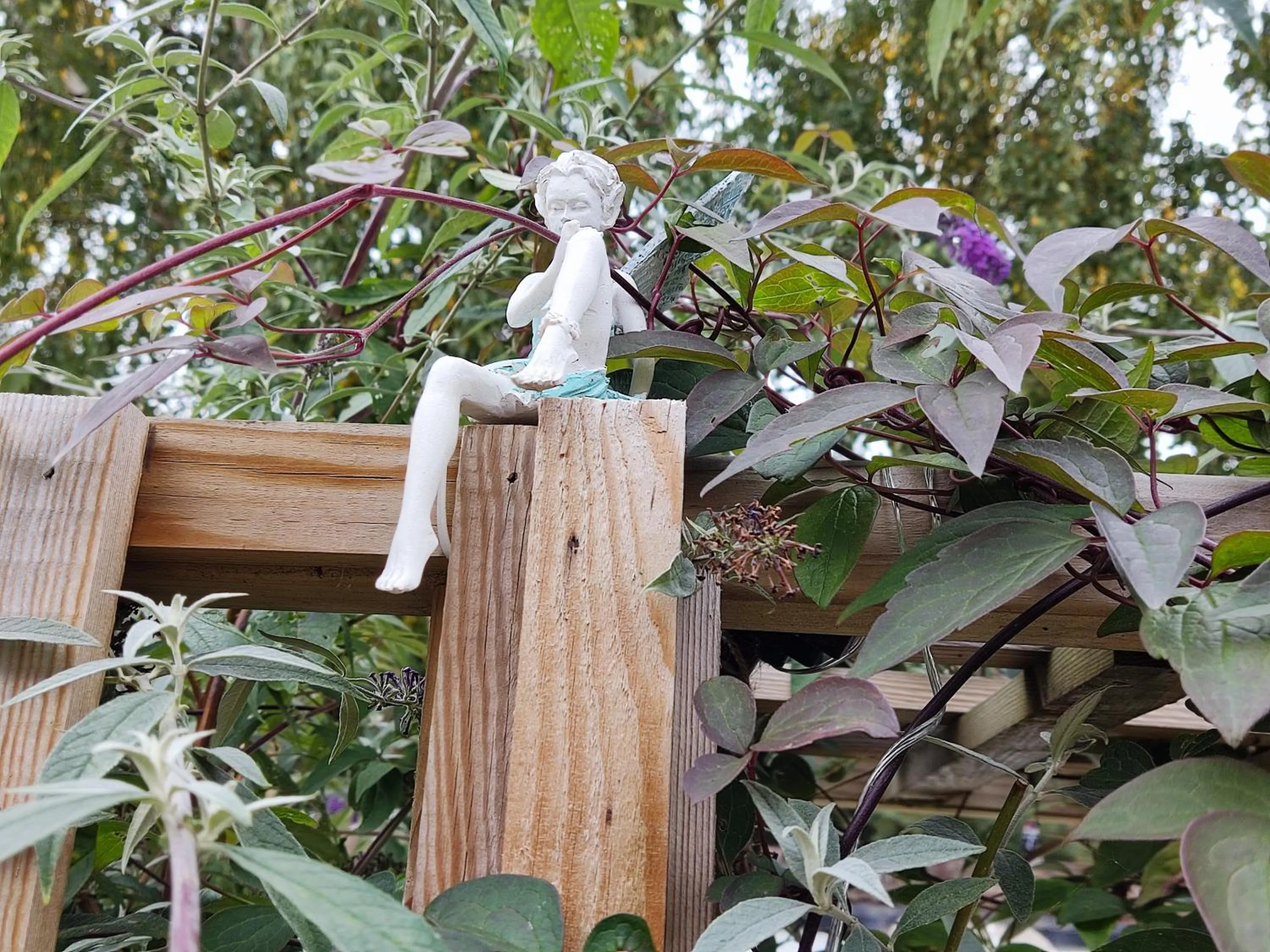 Garden in Self-Contained Holiday Accommodation in the Heart of Easingwold with Parking