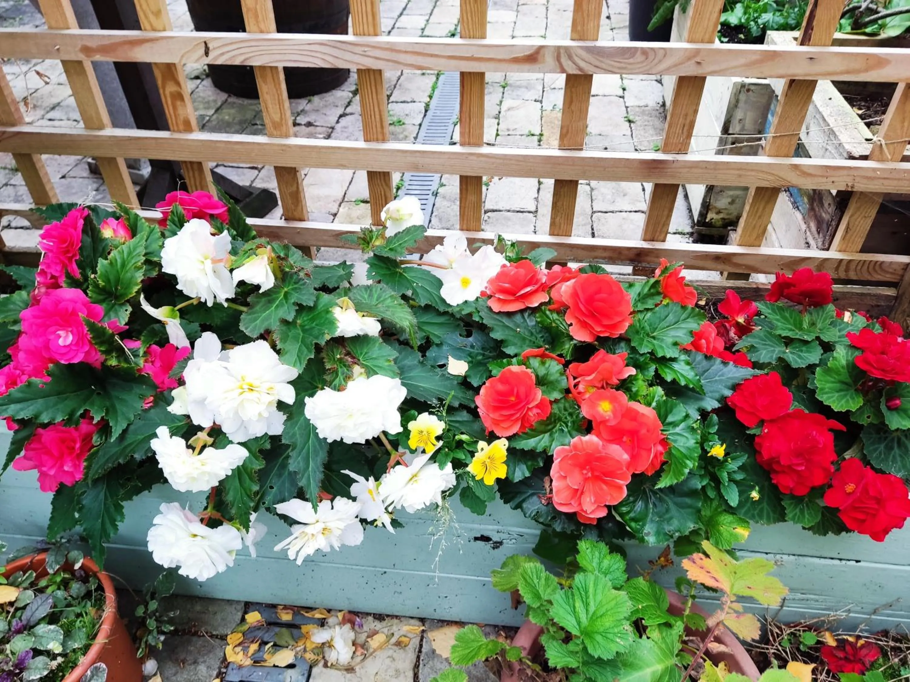 Garden in Self-Contained Holiday Accommodation in the Heart of Easingwold with Parking