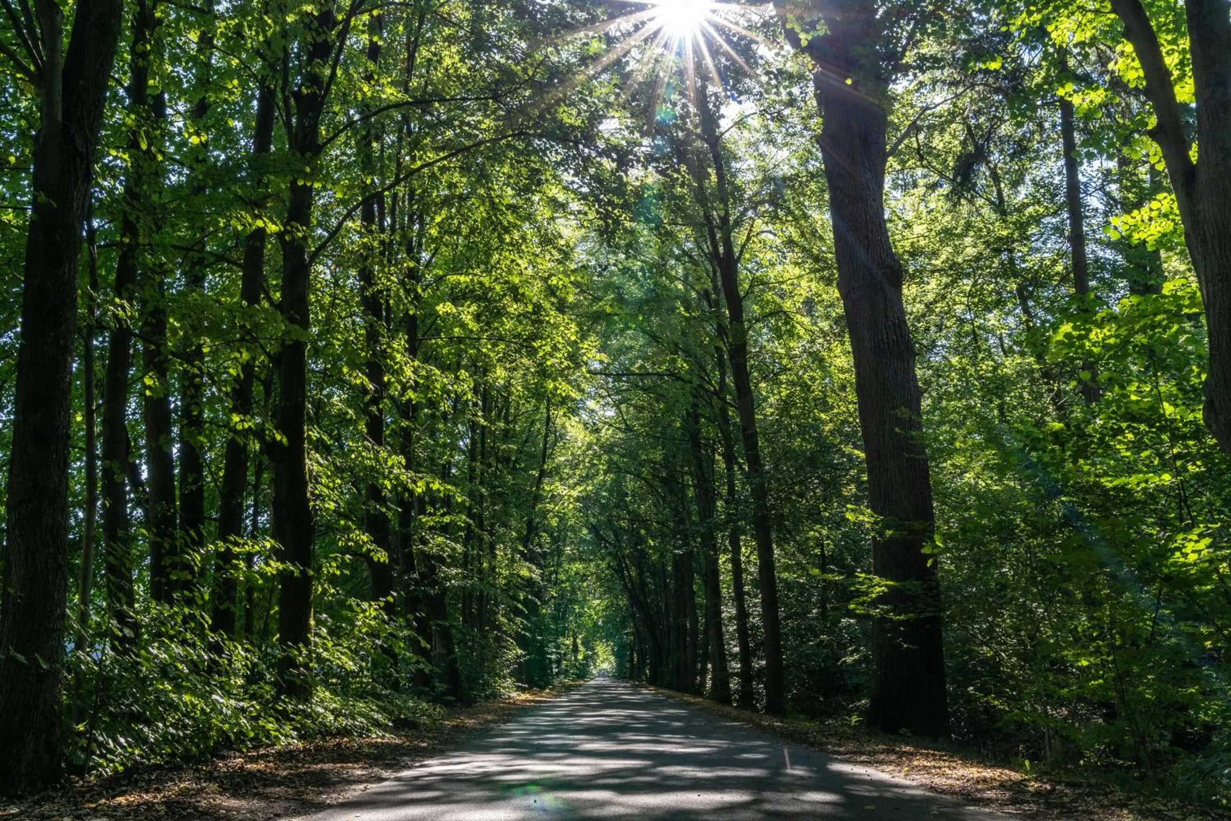 Natural landscape in Hotel zur Kloster-Mühle