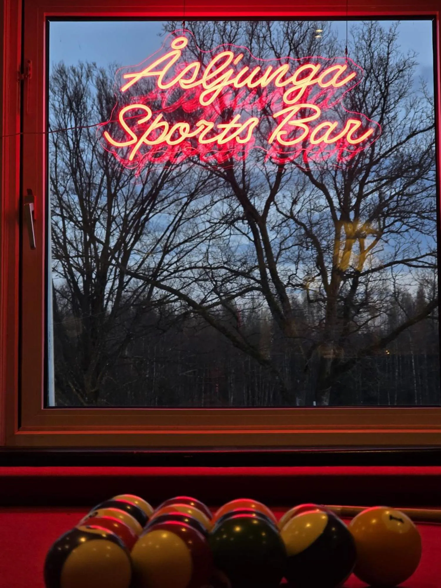 Billiard in Nature Shelter Hotel